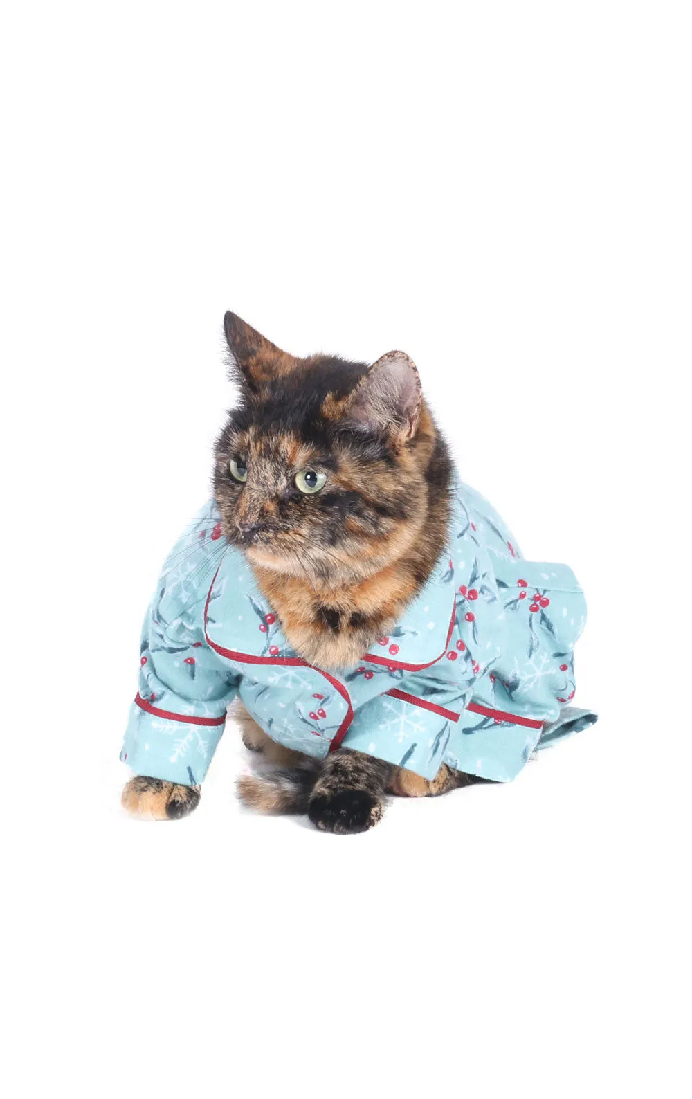 Holiberry Pet Pajamas - Final Sale sold by Pajamagram product image thumbnail 4