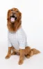 Comfort Knit Pet Pajamas - Dusty Plaid Pet & Owner sold by Pajamagram