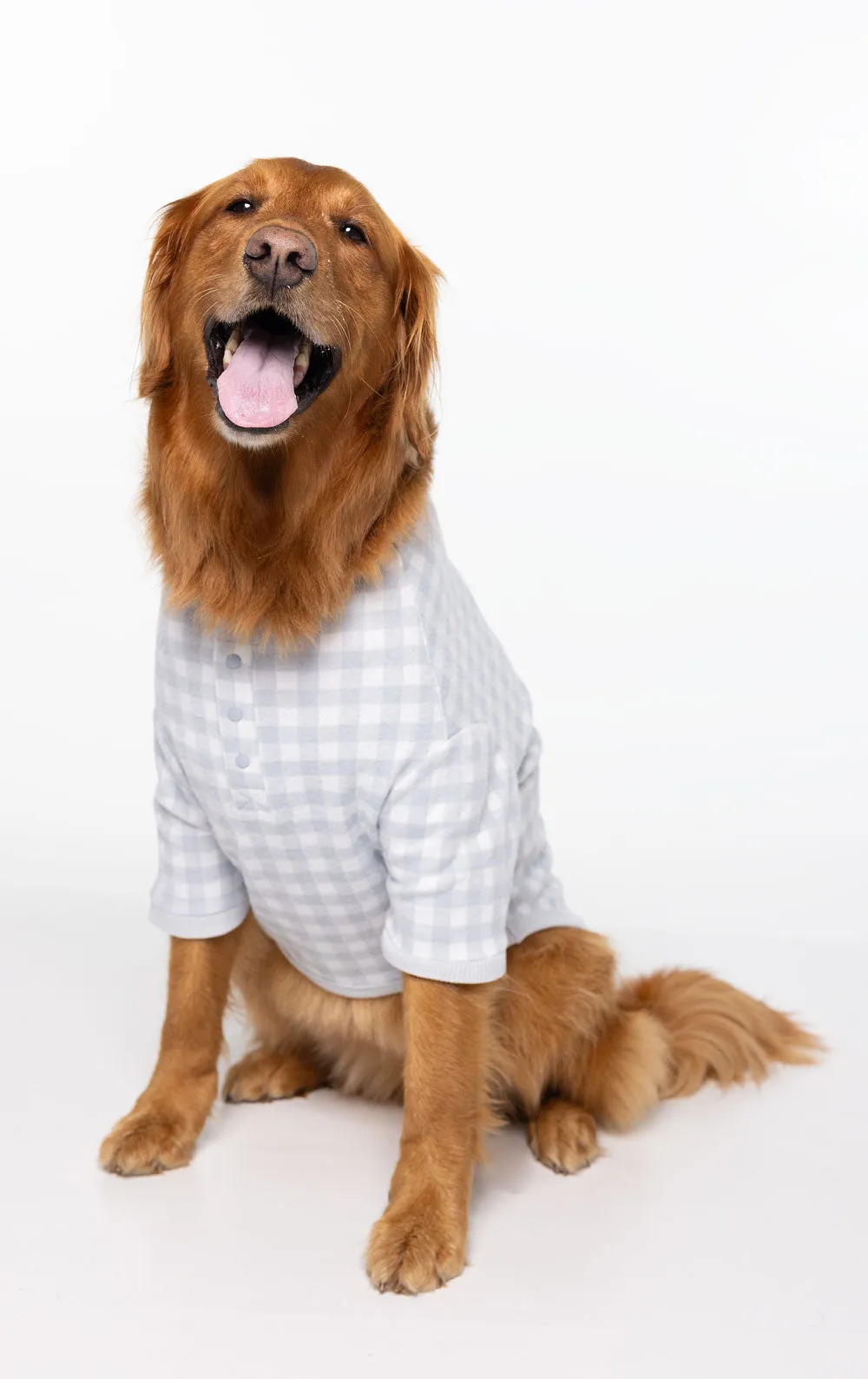 Comfort Knit Pet Pajamas - Dusty Plaid Pet & Owner sold by Pajamagram product image thumbnail 5