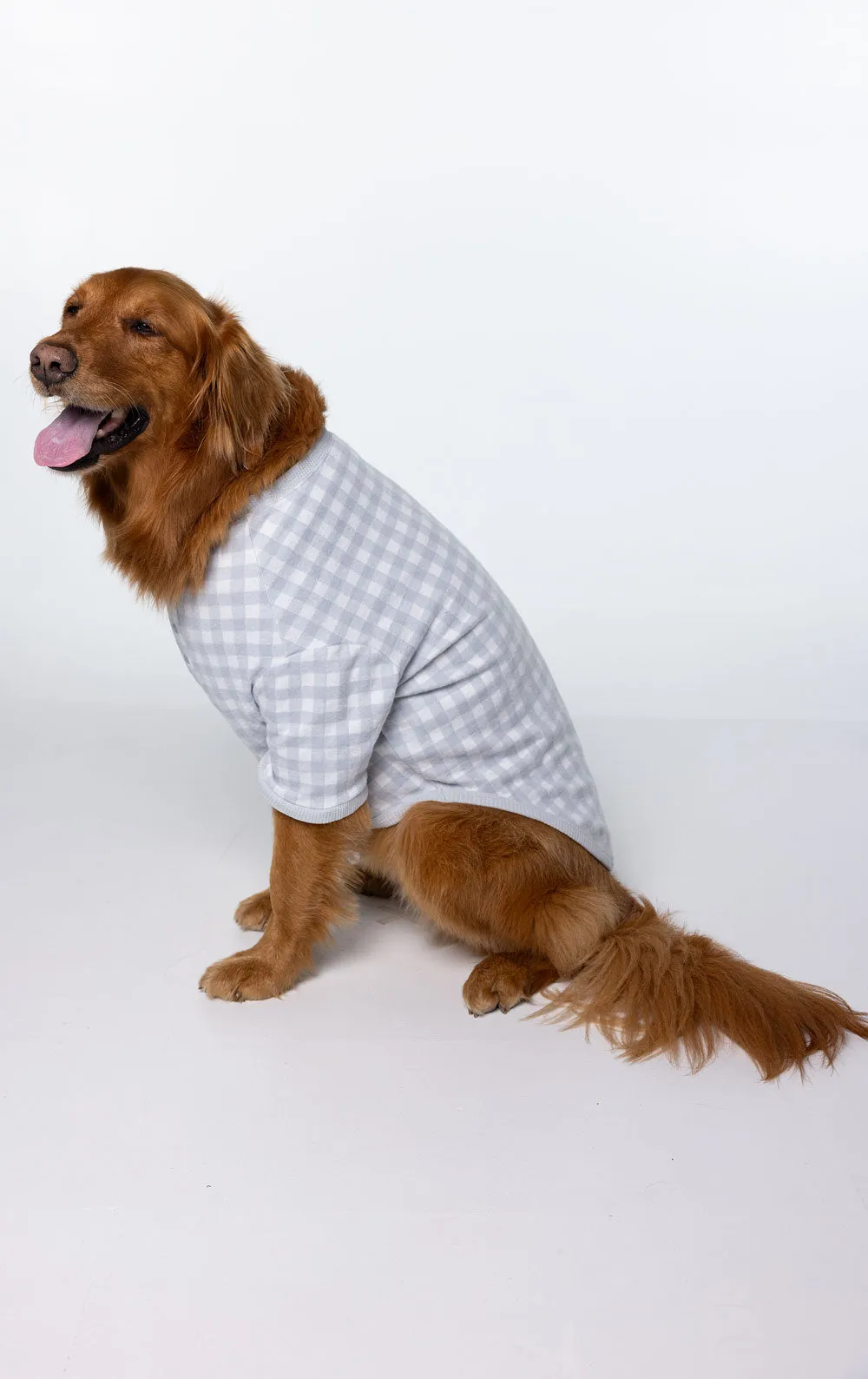 Comfort Knit Pet Pajamas - Blue Gray Gingham Pet & Owner sold by Pajamagram