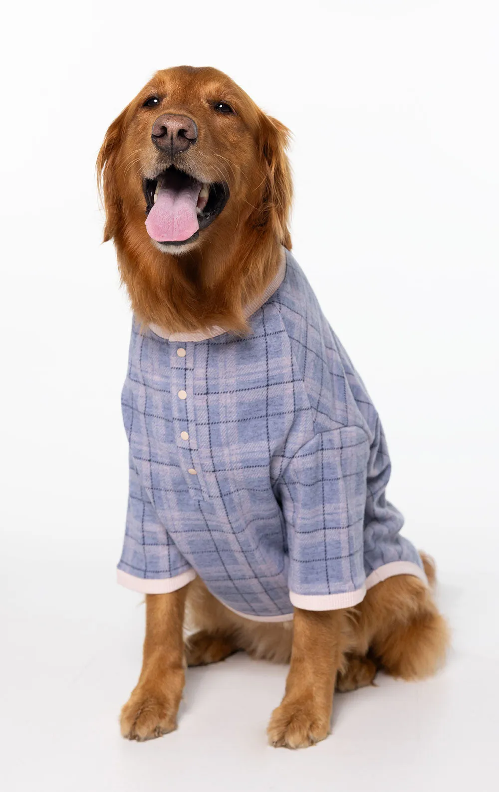 Comfort Knit Pet Pajamas - Blue Gray Gingham Pet & Owner sold by Pajamagram product image thumbnail 3