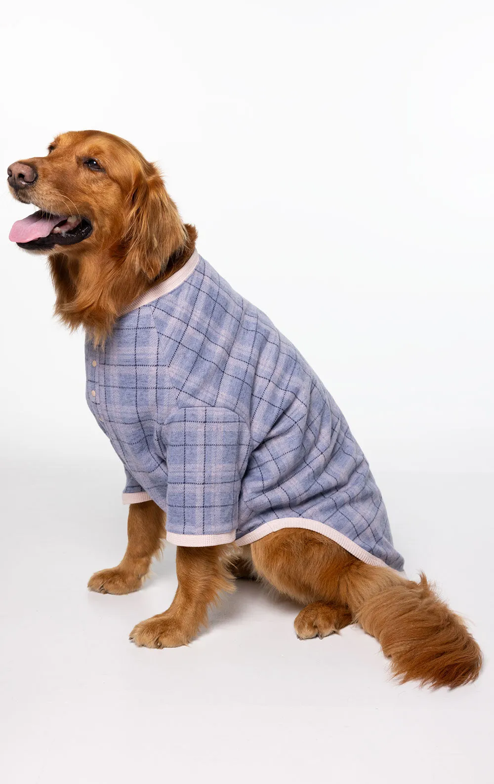 Comfort Knit Pet Pajamas - Blue Gray Gingham Pet & Owner sold by Pajamagram product image thumbnail 5