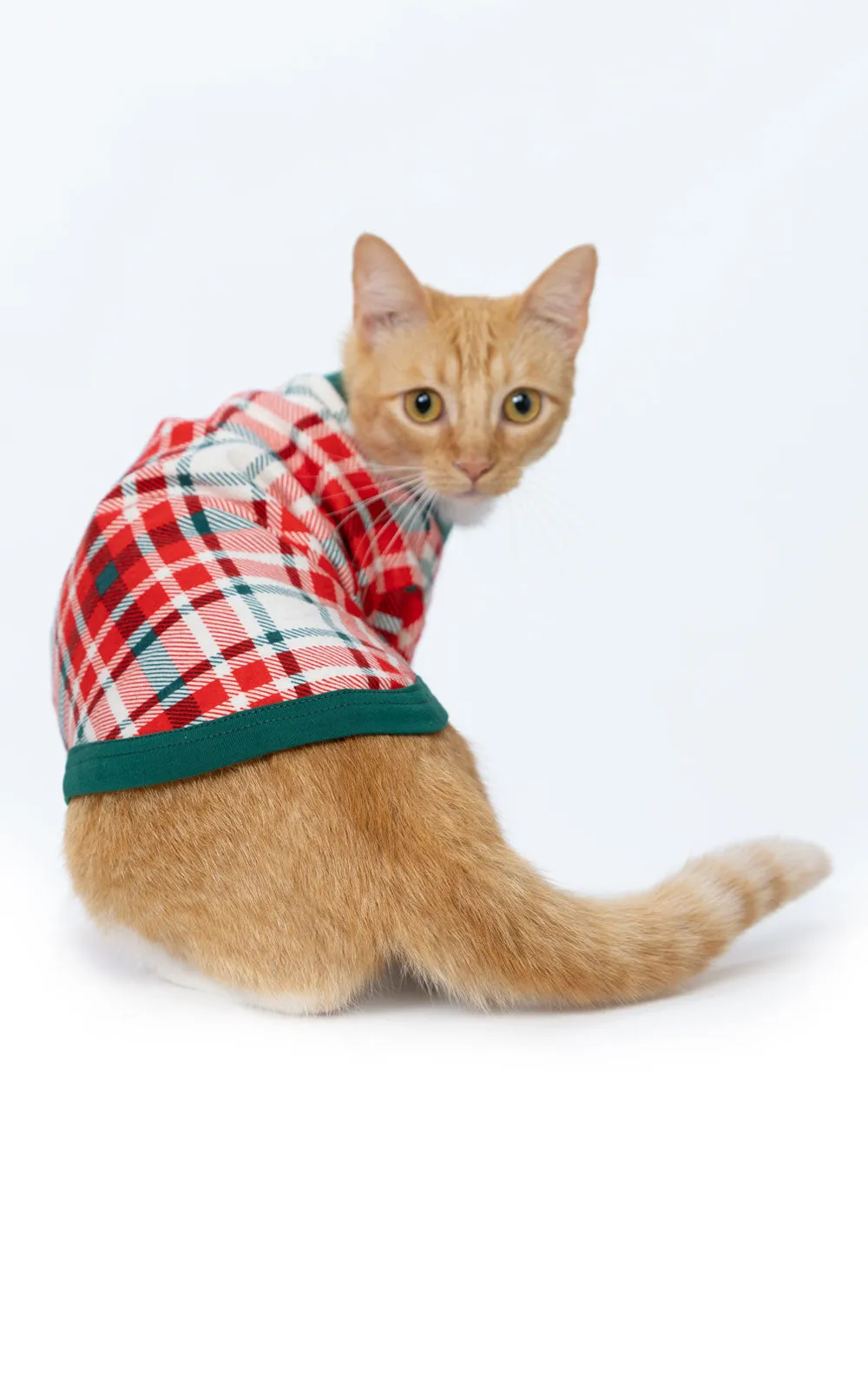 Modern Plaid Pet Pajamas - Pet & Owner sold by Pajamagram product image thumbnail 3