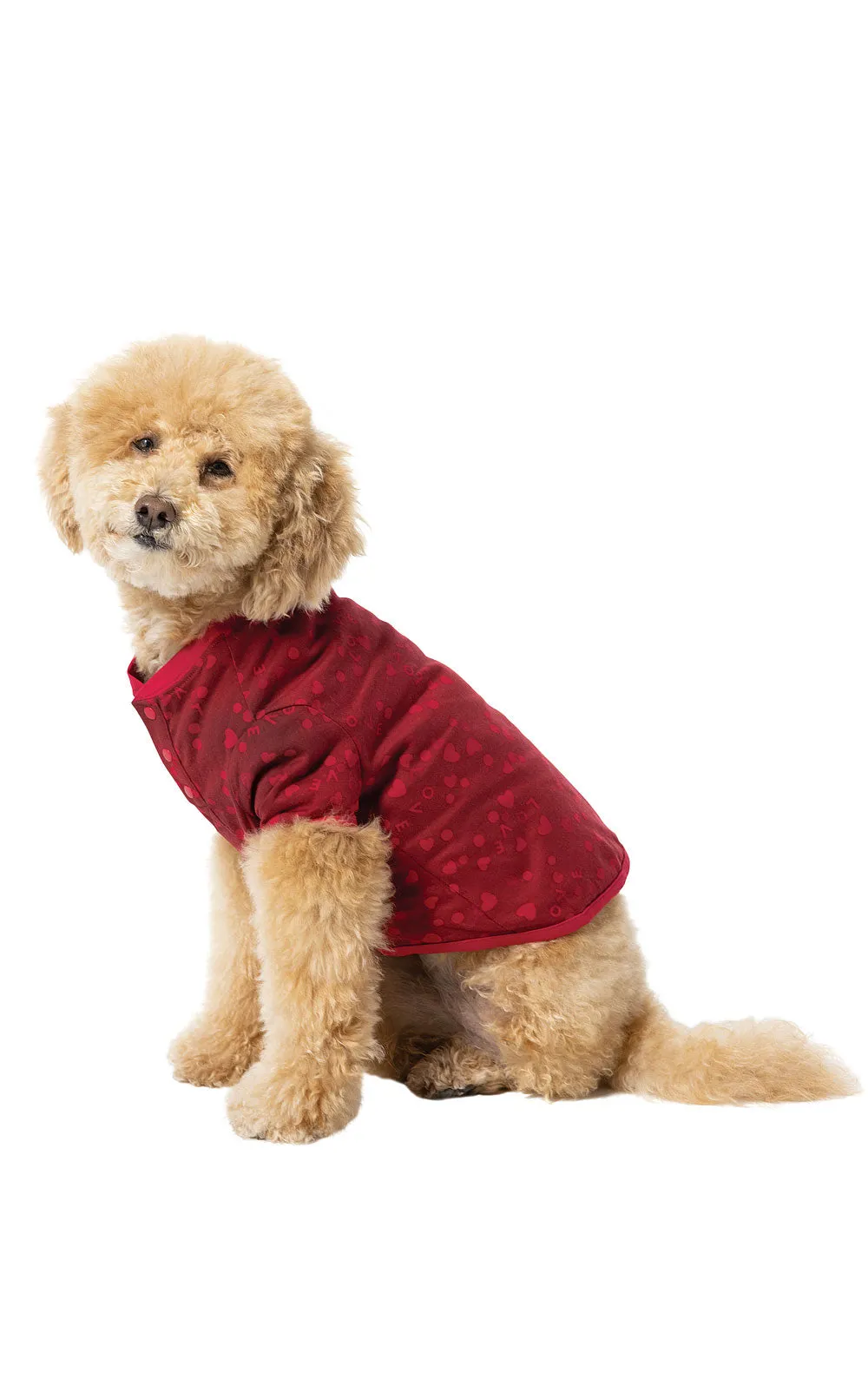 Sweet Love Pet Pajamas sold by Pajamagram product image thumbnail 3