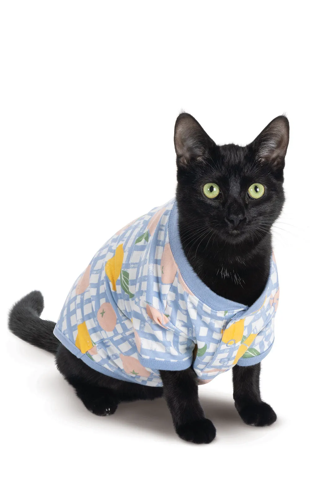 Countryside Gingham Pet Pajamas sold by Pajamagram product image thumbnail 2