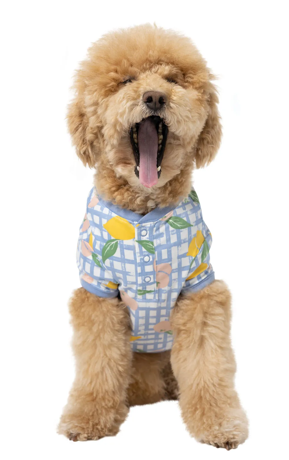 Countryside Gingham Pet Pajamas sold by Pajamagram product image thumbnail 4