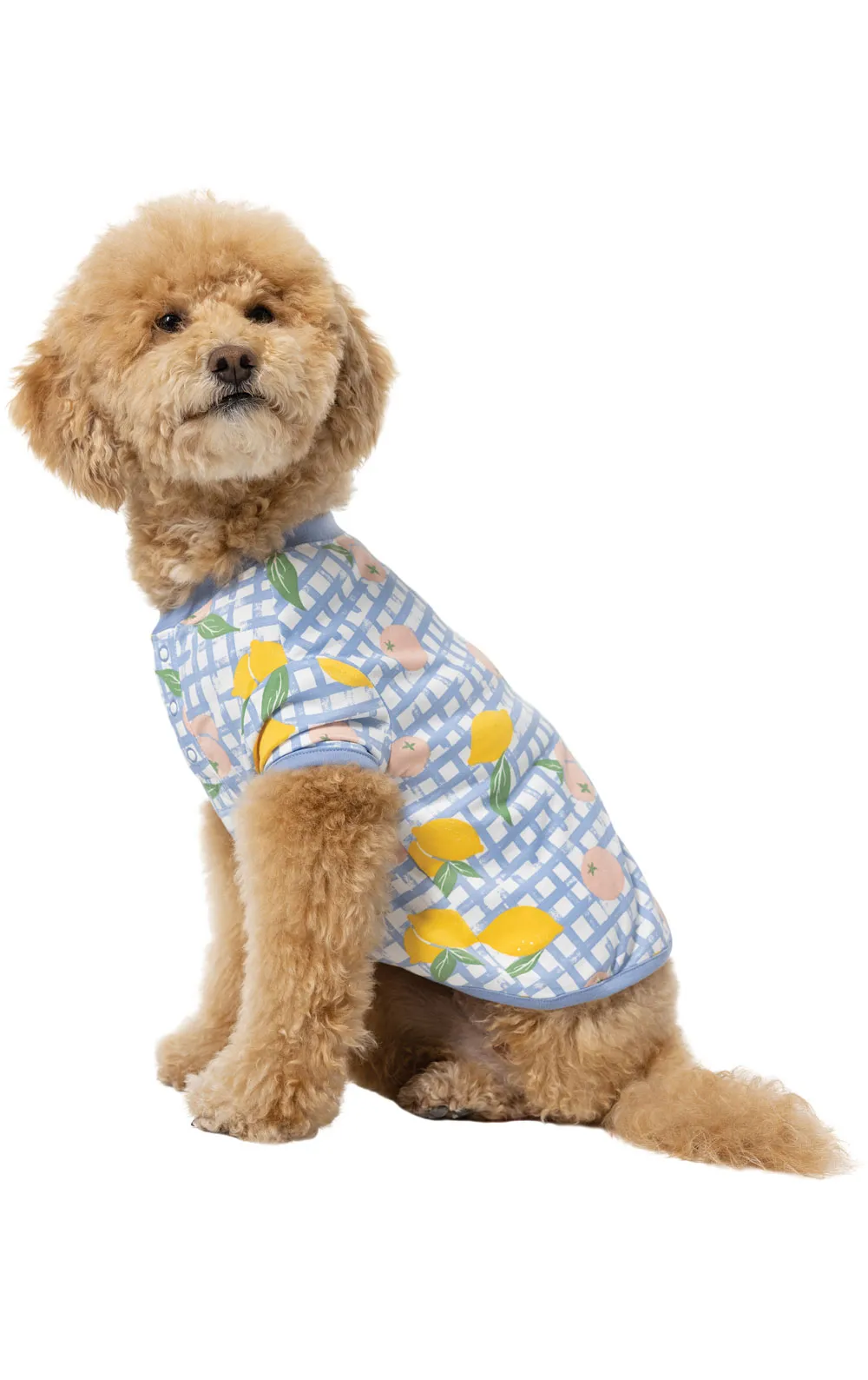 Countryside Gingham Pet Pajamas sold by Pajamagram product image thumbnail 3