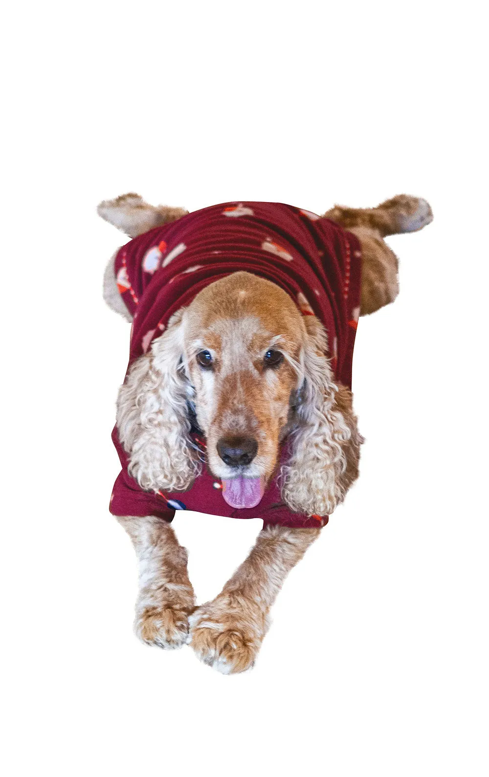 Santa Fleece Pet Pajamas - Final Sale sold by Pajamagram product image thumbnail 3
