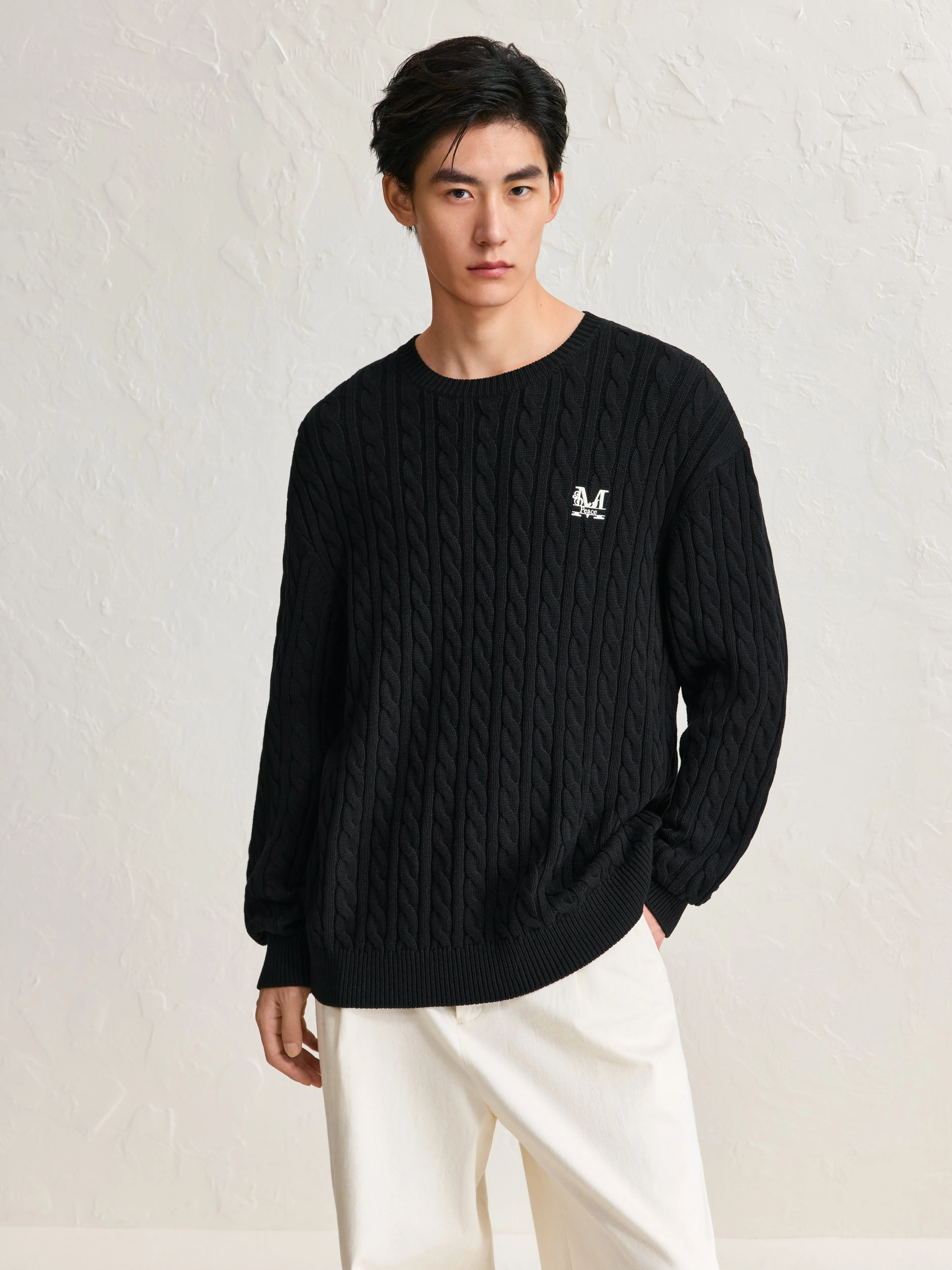 Men's Embroideried Cable-Knit Pullover sold by PEACEBIRD product image thumbnail 4