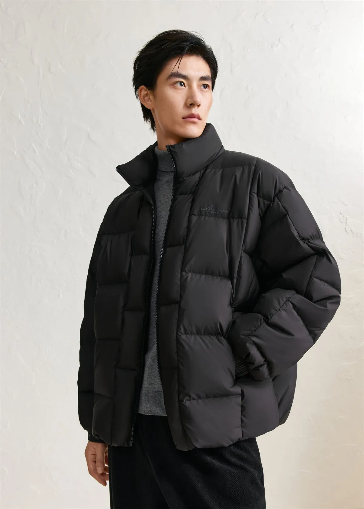 Men's 95% Light Down Warm Puffer Jacket sold by PEACEBIRD product image thumbnail 2