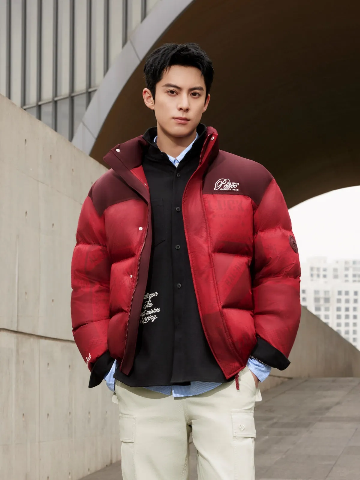 Men's Red Pattern Puffer Jacket sold by PEACEBIRD product image thumbnail 2
