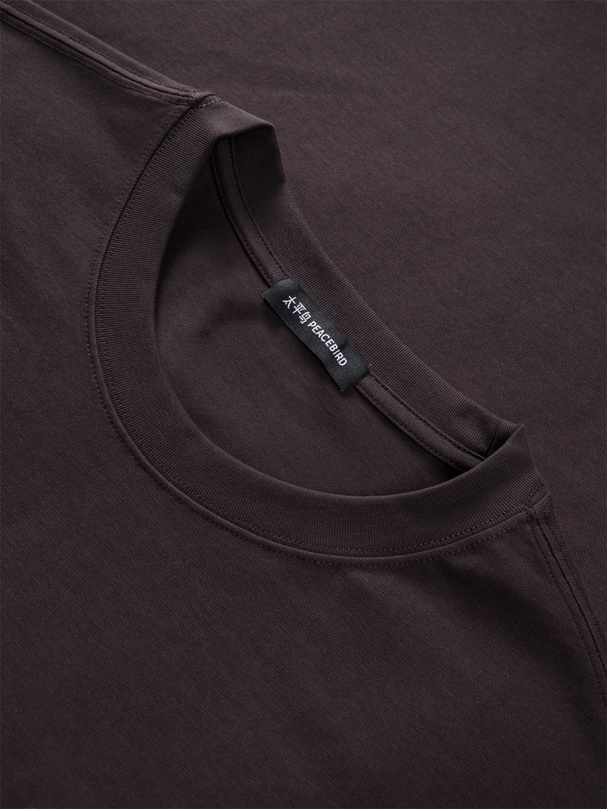 Men's Heavyweight Embroidered T-Shirt sold by PEACEBIRD product image thumbnail 3