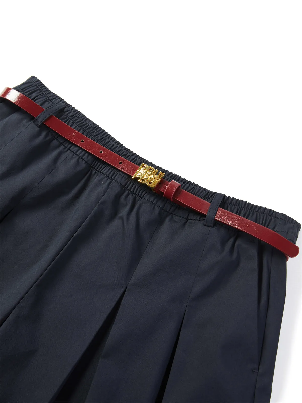 Women's Pleated Wide-Leg Pants with Belt sold by PEACEBIRD product image thumbnail 4