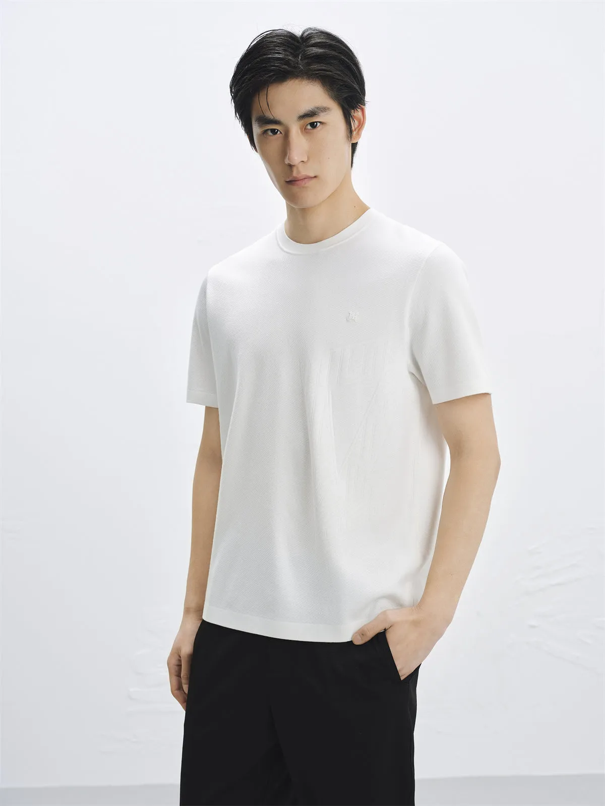 Men's Solid Textured T-Shirt Style Knit Pullover sold by PEACEBIRD product image thumbnail 2
