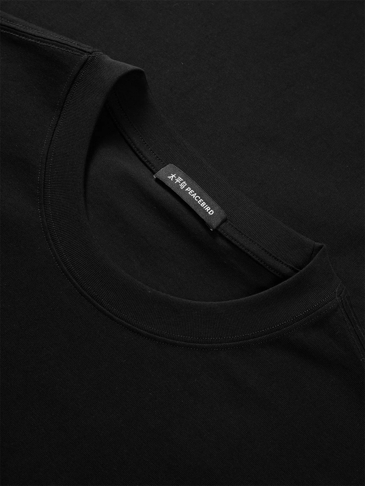 Men's Graphic Back T-Shirt with Embroidery Detail sold by PEACEBIRD product image thumbnail 5