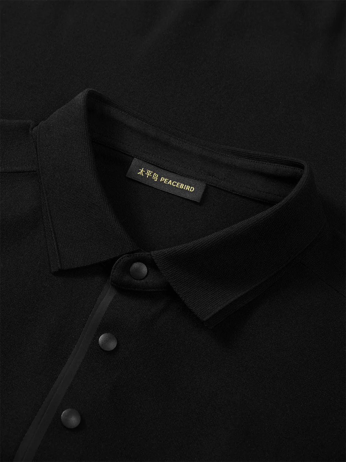 Men's Solid Knit Pullover with Logo Patch and Polo Collar sold by PEACEBIRD product image thumbnail 4