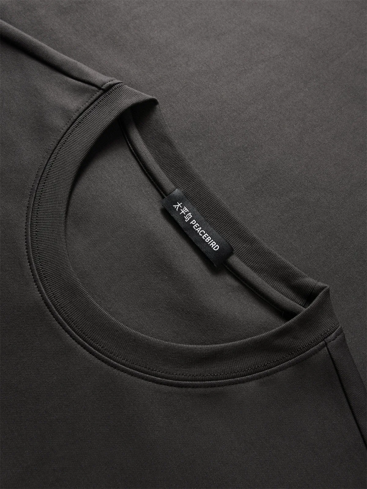 Men's Heavyweight Embroidered T-Shirt sold by PEACEBIRD product image thumbnail 4