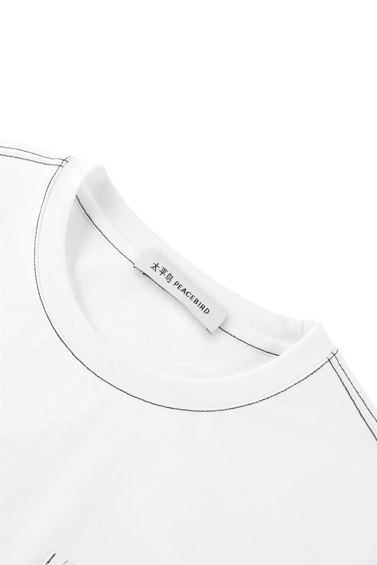 Men's Embroidered T-Shirt with Contrast Stitching sold by PEACEBIRD product image thumbnail 4