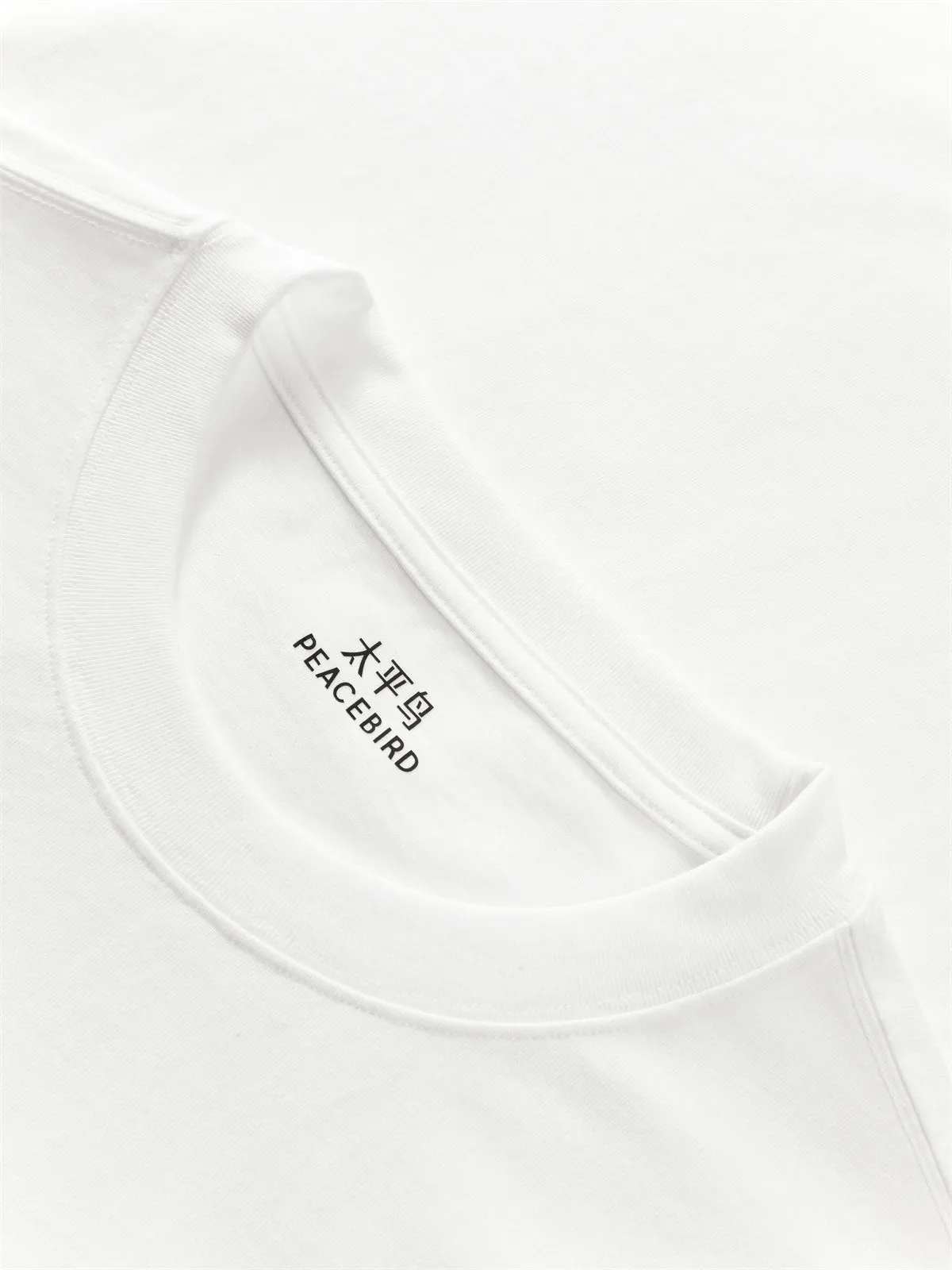 Men's Heavyweight Embroidered T-Shirt sold by PEACEBIRD product image thumbnail 4