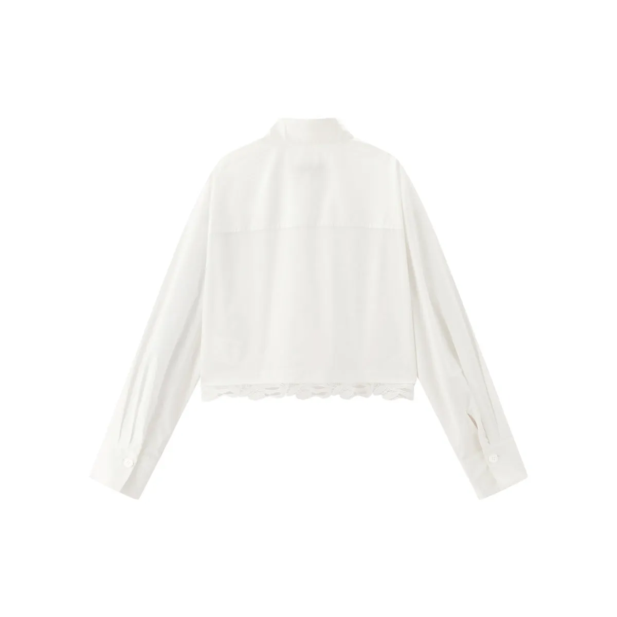 Women's Cropped Shirt with Lace Panels sold by PEACEBIRD product image thumbnail 3