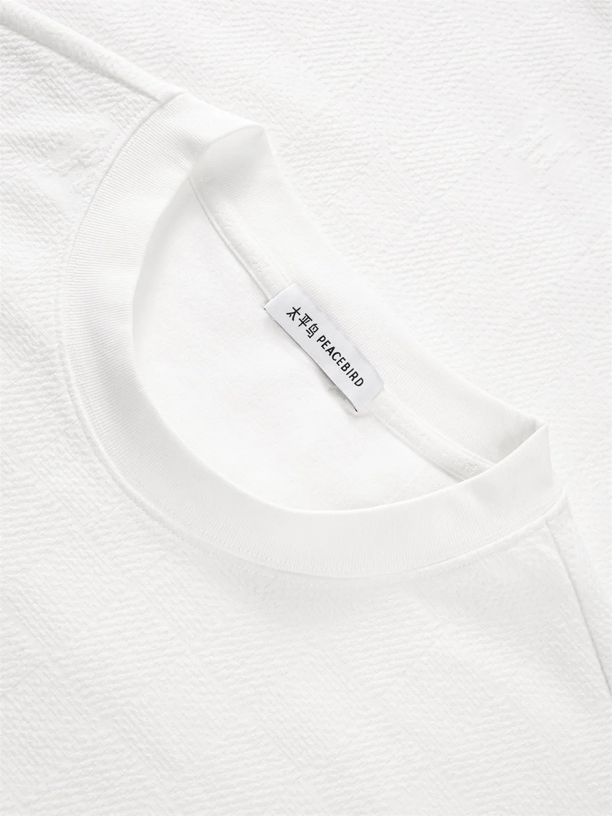 Men's Solid Allover Jacquard T-Shirt sold by PEACEBIRD product image thumbnail 4