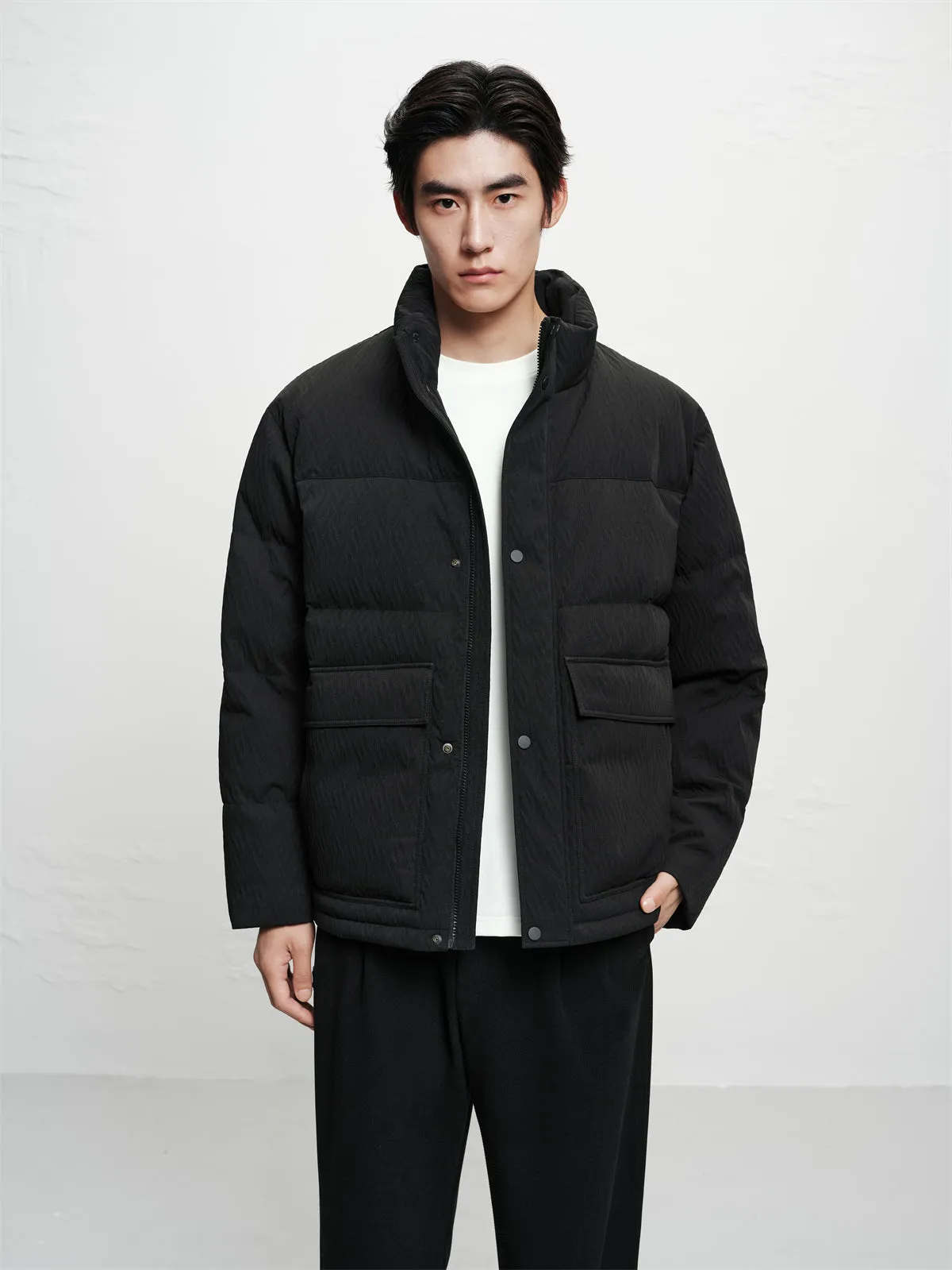 Men's Textured Jacquard Stand-Collar Down Jacket sold by PEACEBIRD product image thumbnail 2