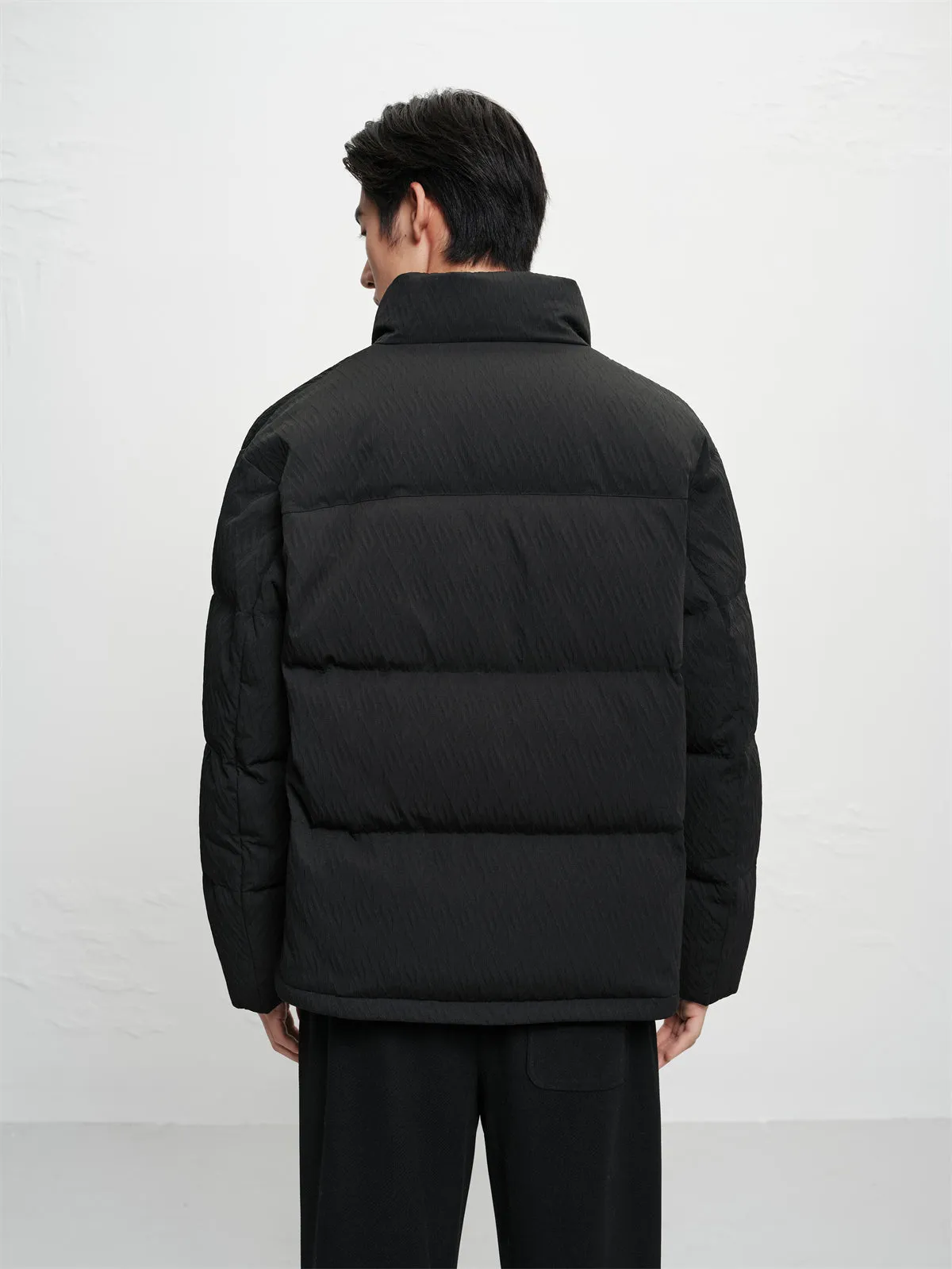 Men's Textured Jacquard Stand-Collar Down Jacket sold by PEACEBIRD product image thumbnail 5