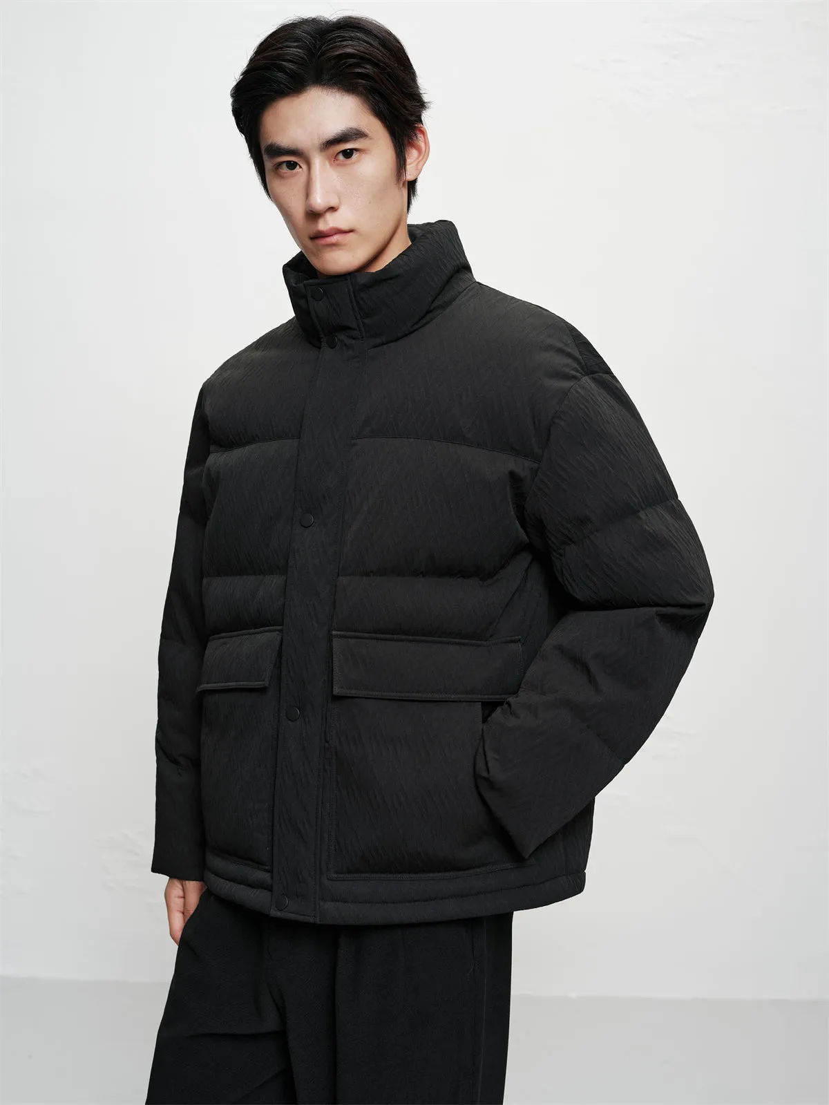 Men's Textured Jacquard Stand-Collar Down Jacket sold by PEACEBIRD product image thumbnail 4