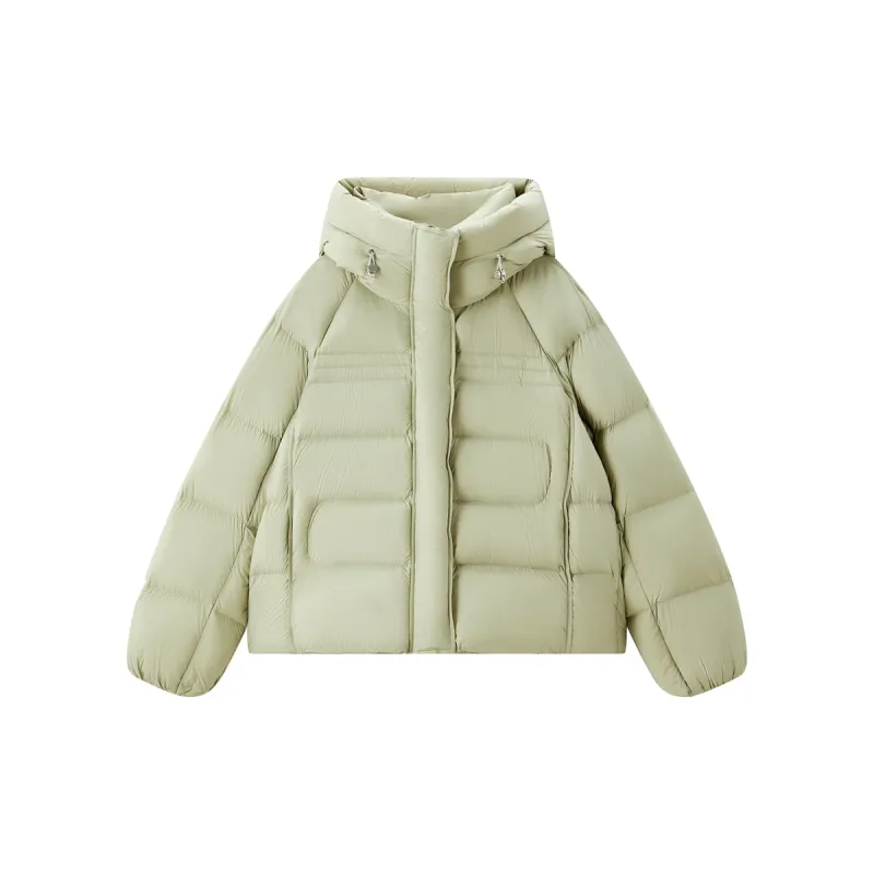 Women's Short Curved-Quilted Thermal Puffer Jacket sold by PEACEBIRD