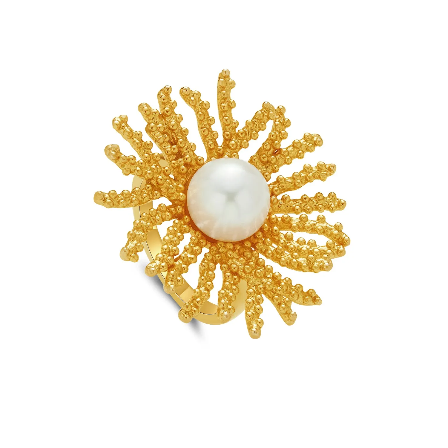 SunFlower Ensemble sold by Spoiled Joy product image thumbnail 3