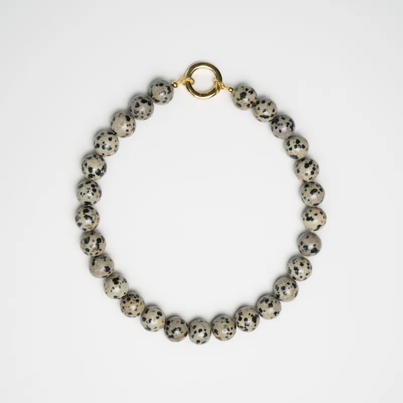 Grace Dalmatian Jasper sold by Stellar Whispers