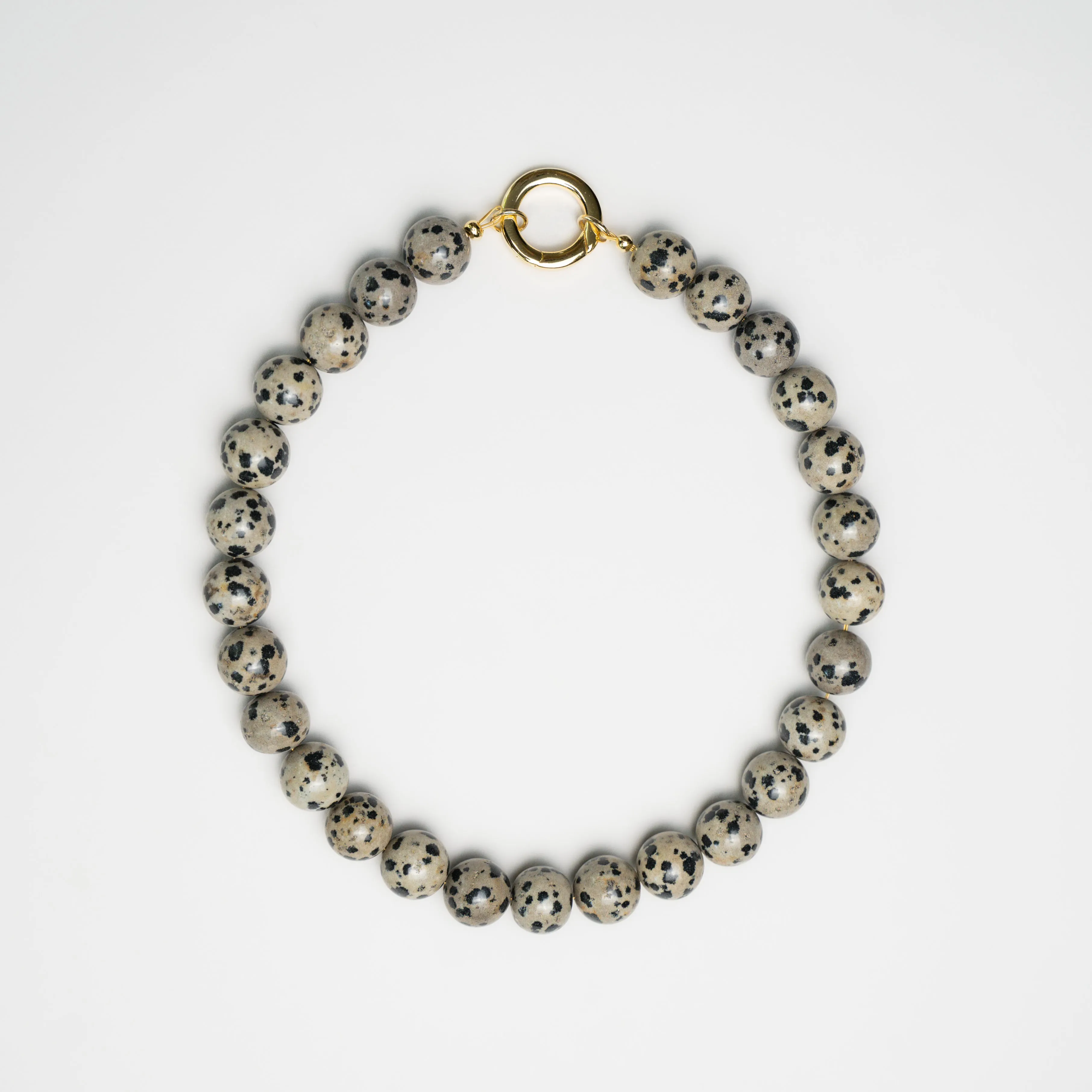 Grace Dalmatian Jasper sold by Stellar Whispers