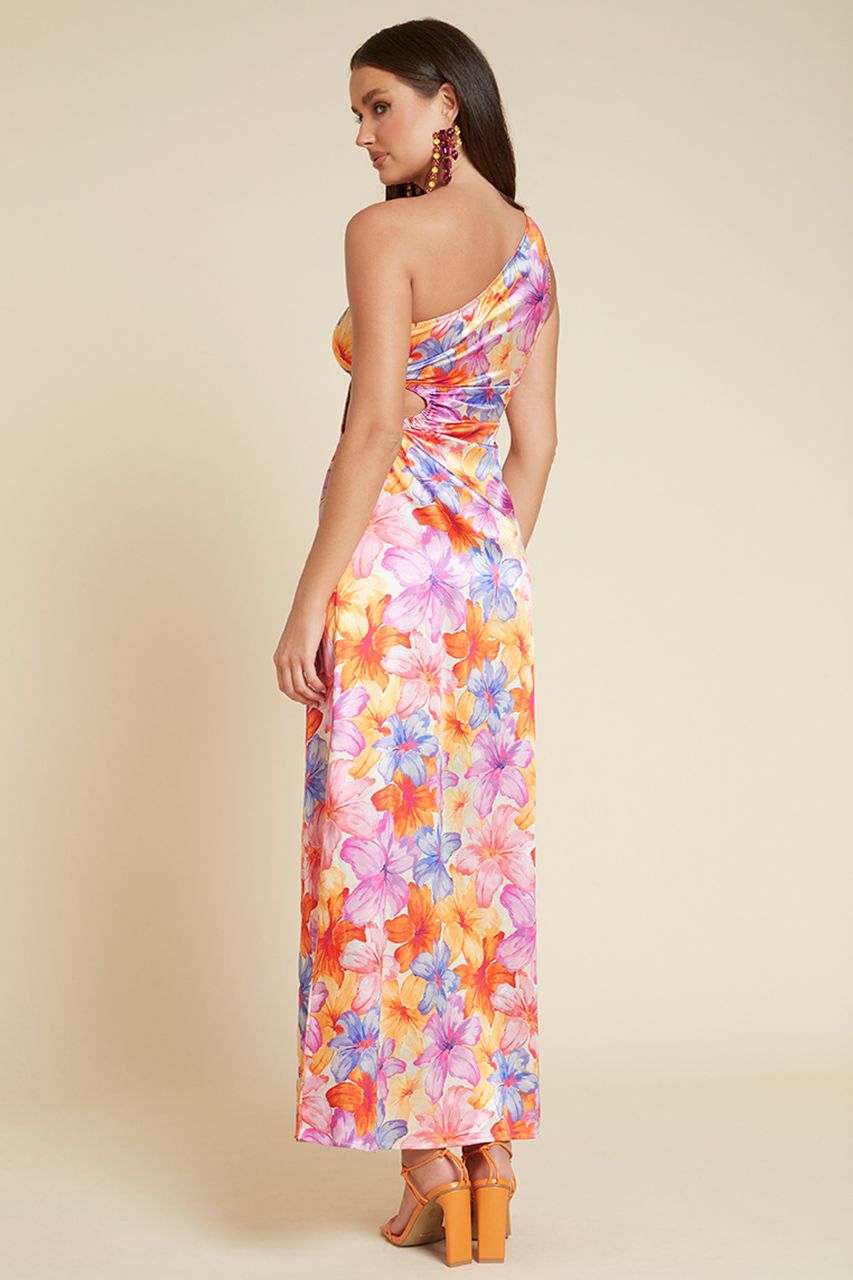 SPLENDOUR MAXI DRESS - FLORAL sold by Runaway The Label product image thumbnail 4