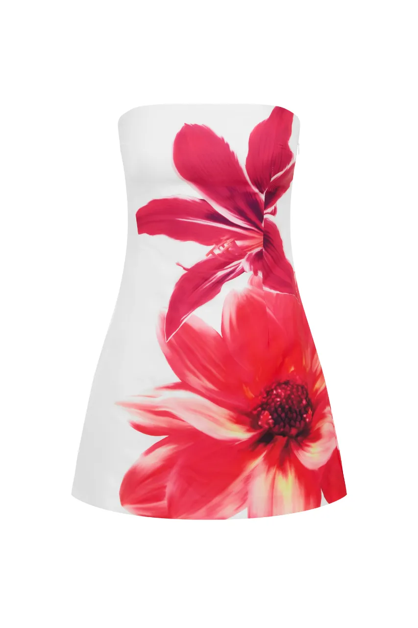 PRIMROSE MINI DRESS - TROPICAL FLOWER sold by Runaway The Label product image thumbnail 5