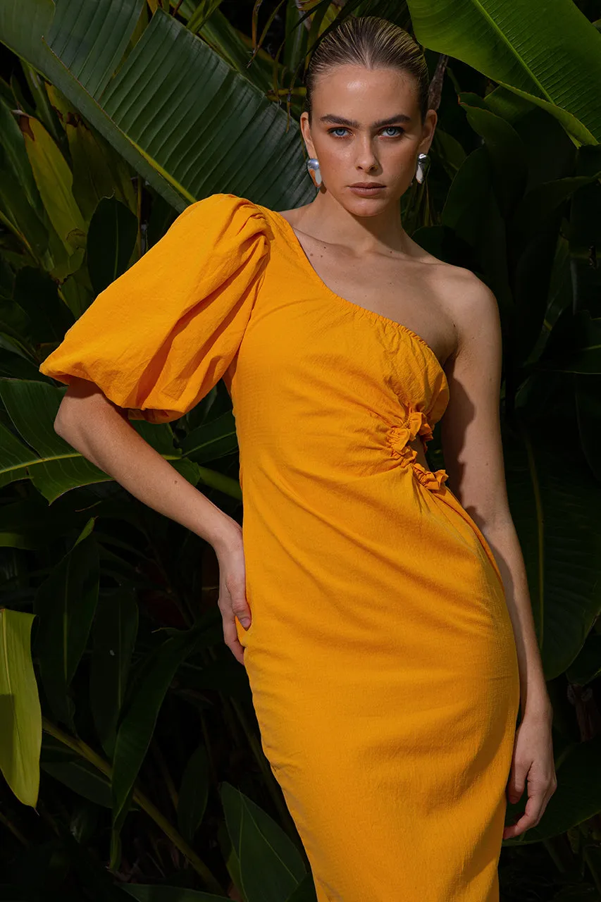 SIDONIE MIDI DRESS - MANGO sold by Runaway The Label product image thumbnail 3