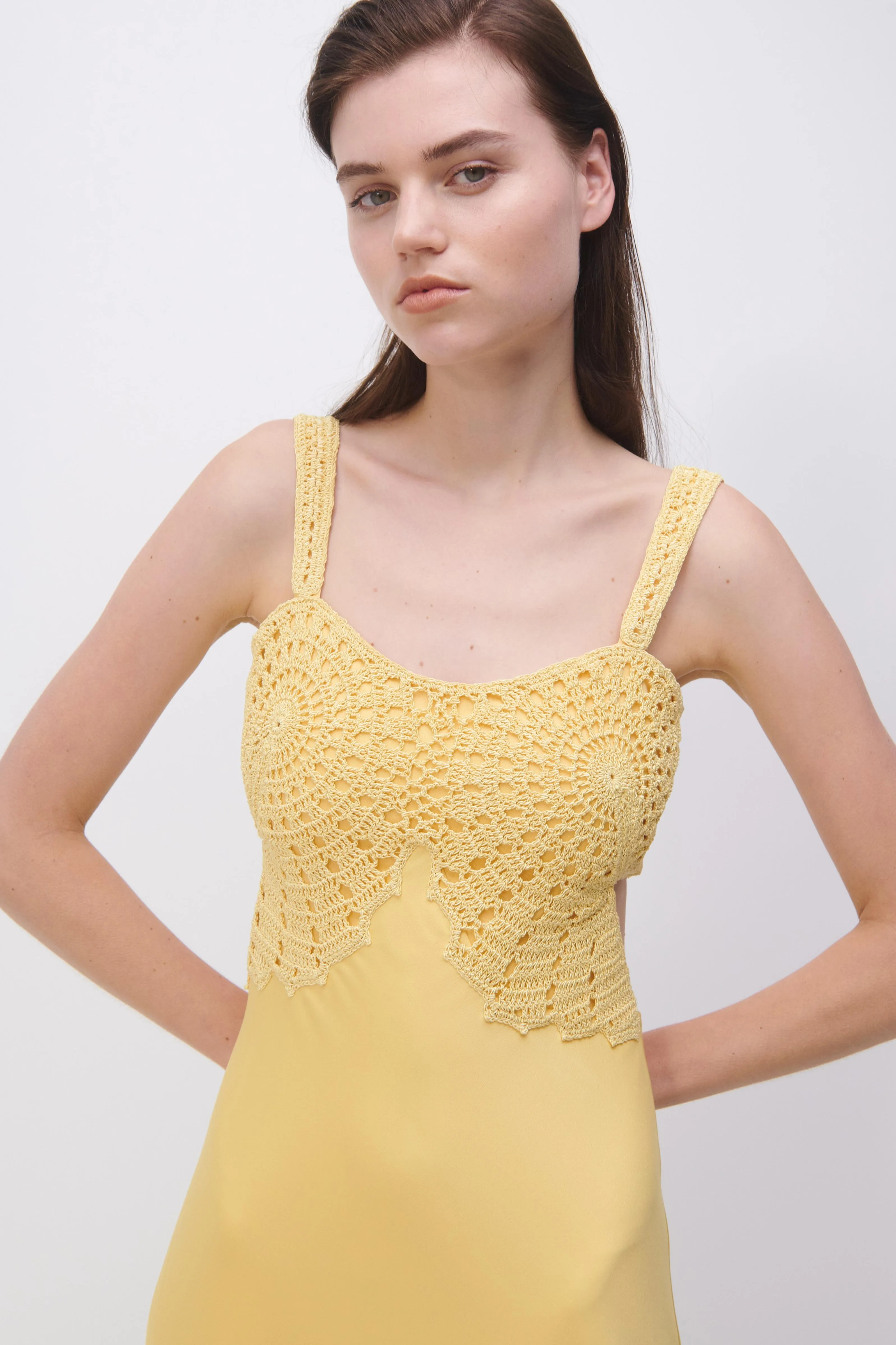 Roberta Fossil Crochet Dress sold by Simkhai product image thumbnail 5