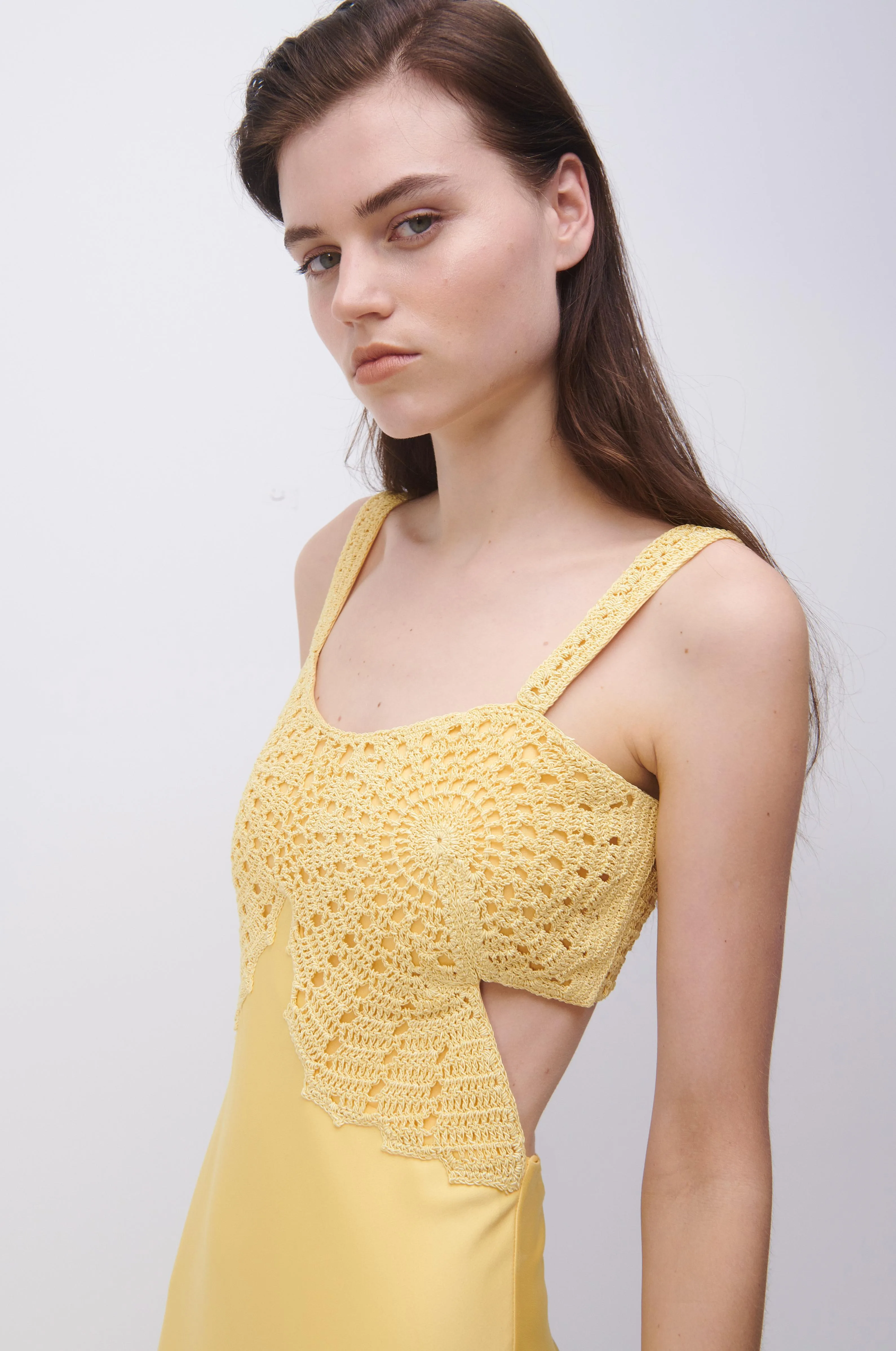 Roberta Fossil Crochet Dress sold by Simkhai product image thumbnail 3