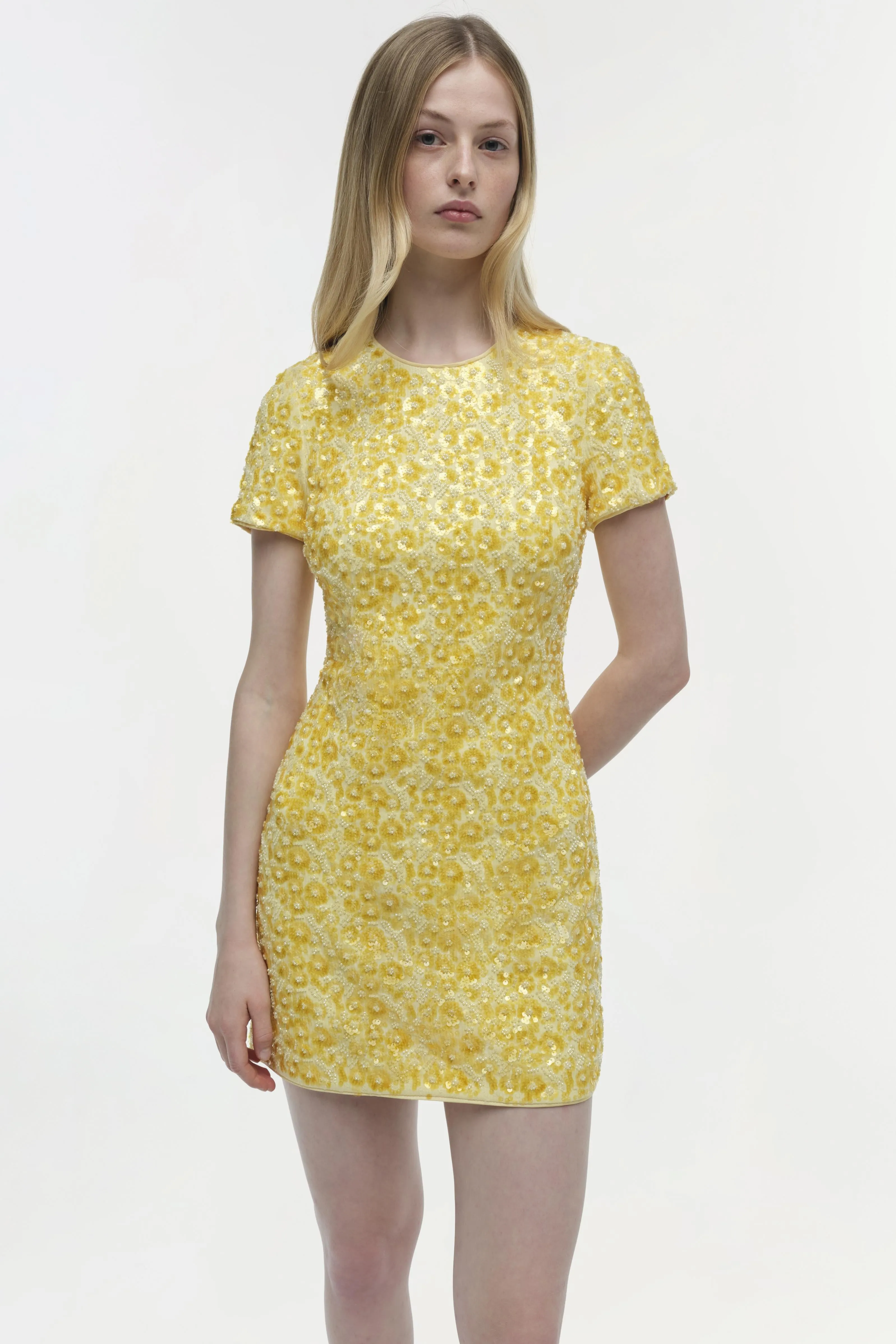 Clove Embellished Mini Dress sold by Simkhai product image thumbnail 3