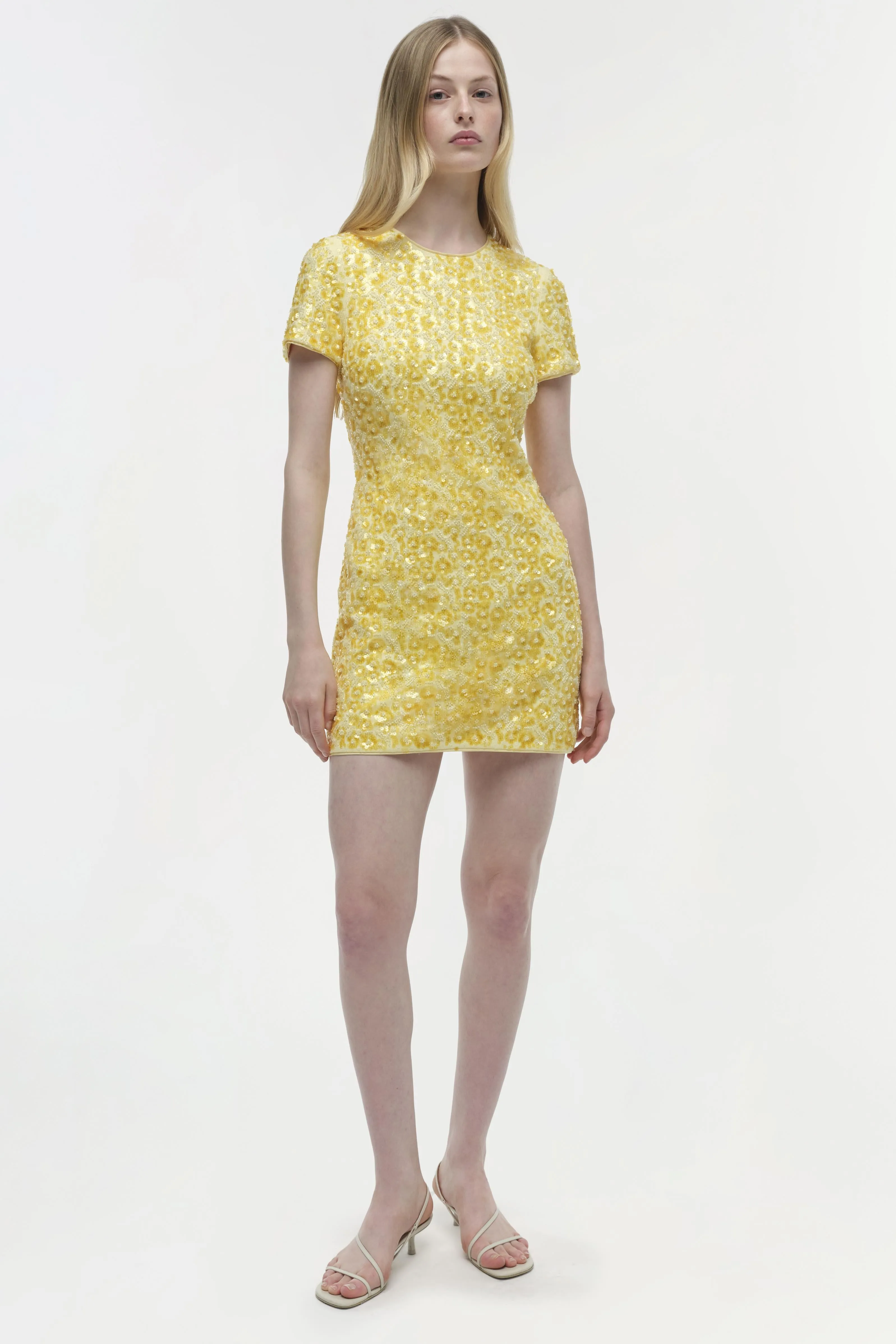 Clove Embellished Mini Dress sold by Simkhai product image thumbnail 2
