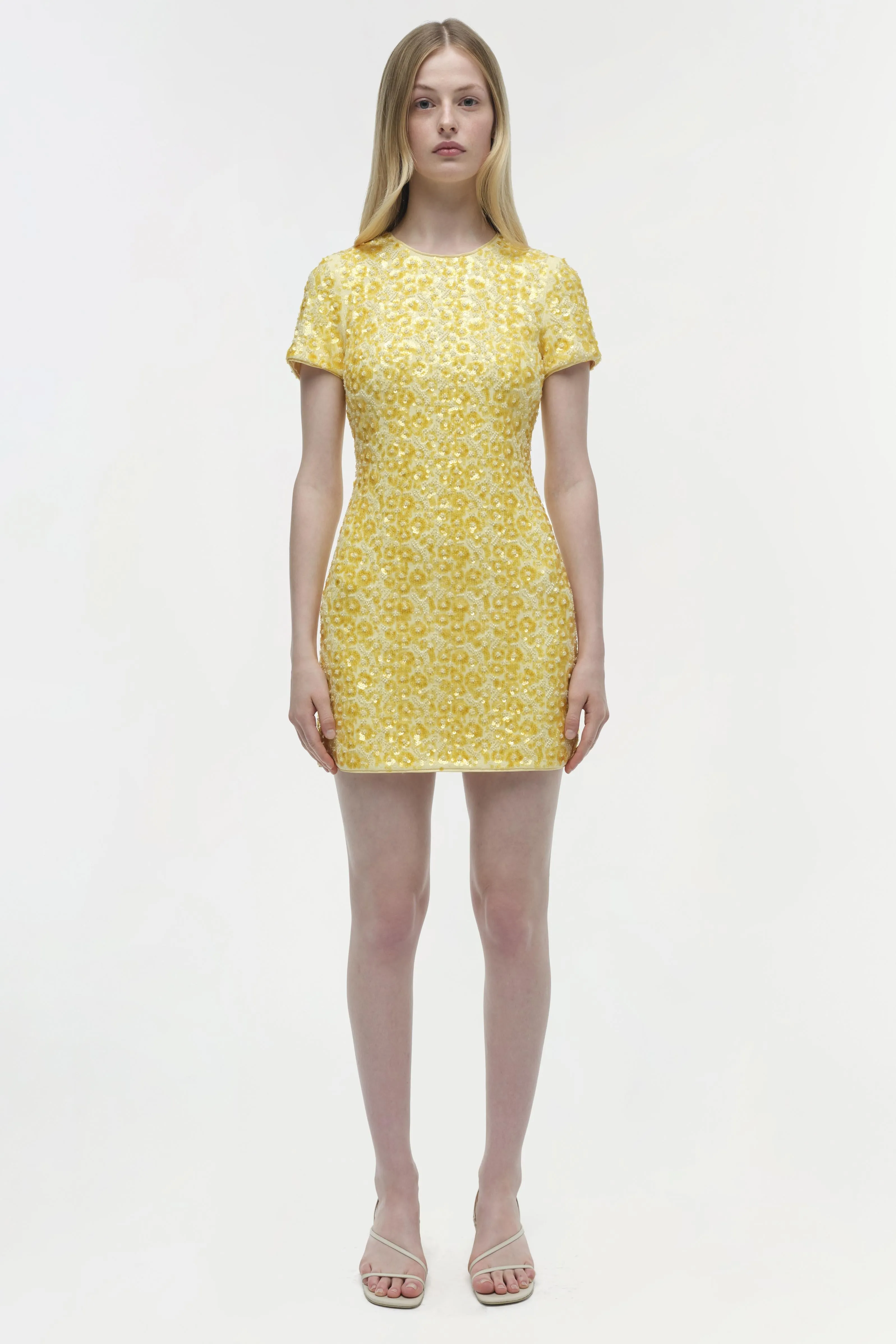 Clove Embellished Mini Dress sold by Simkhai product image thumbnail 5