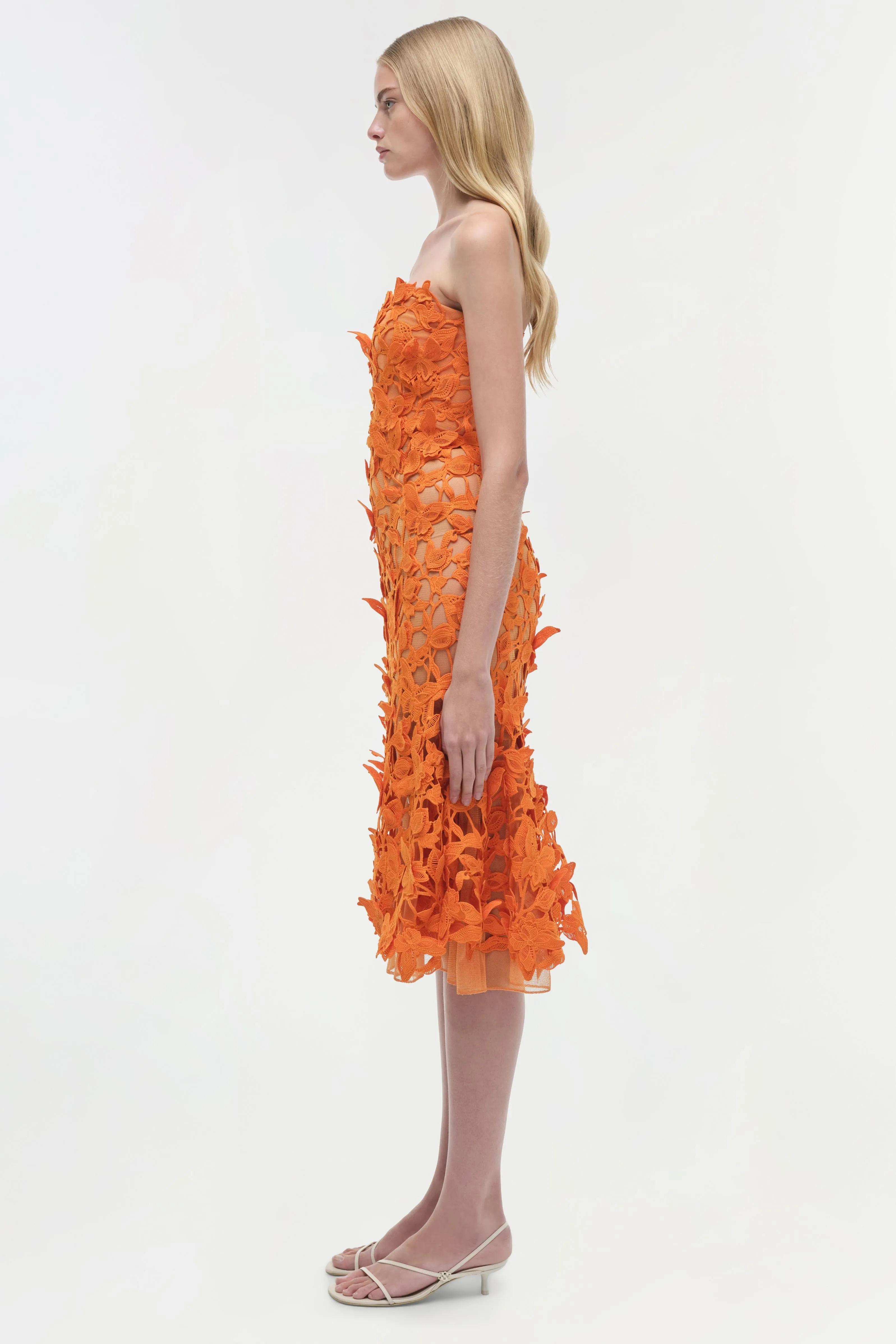 Fleurella Applique Midi Dress sold by Simkhai product image thumbnail 4