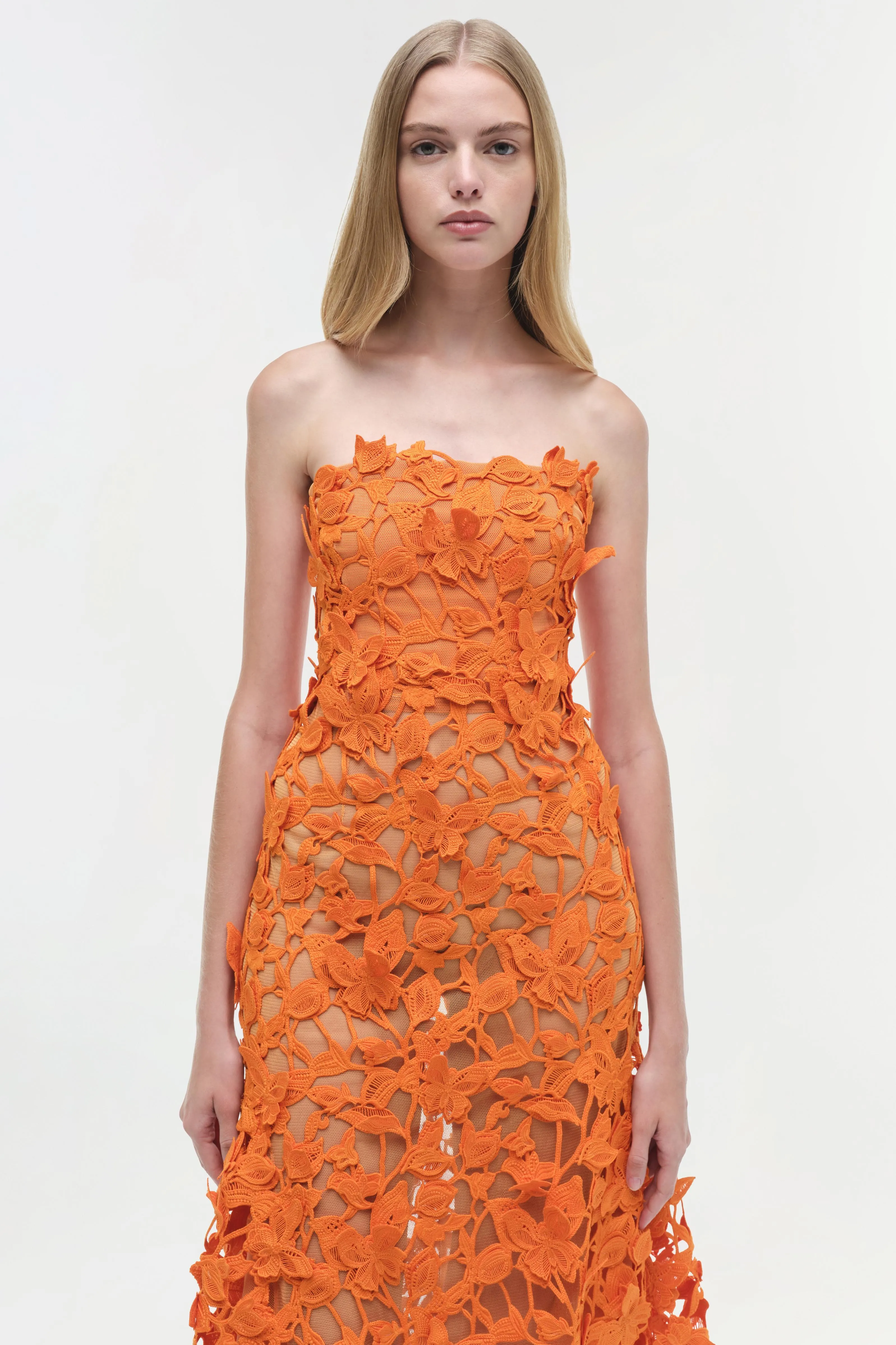 Fleurella Applique Midi Dress sold by Simkhai product image thumbnail 3