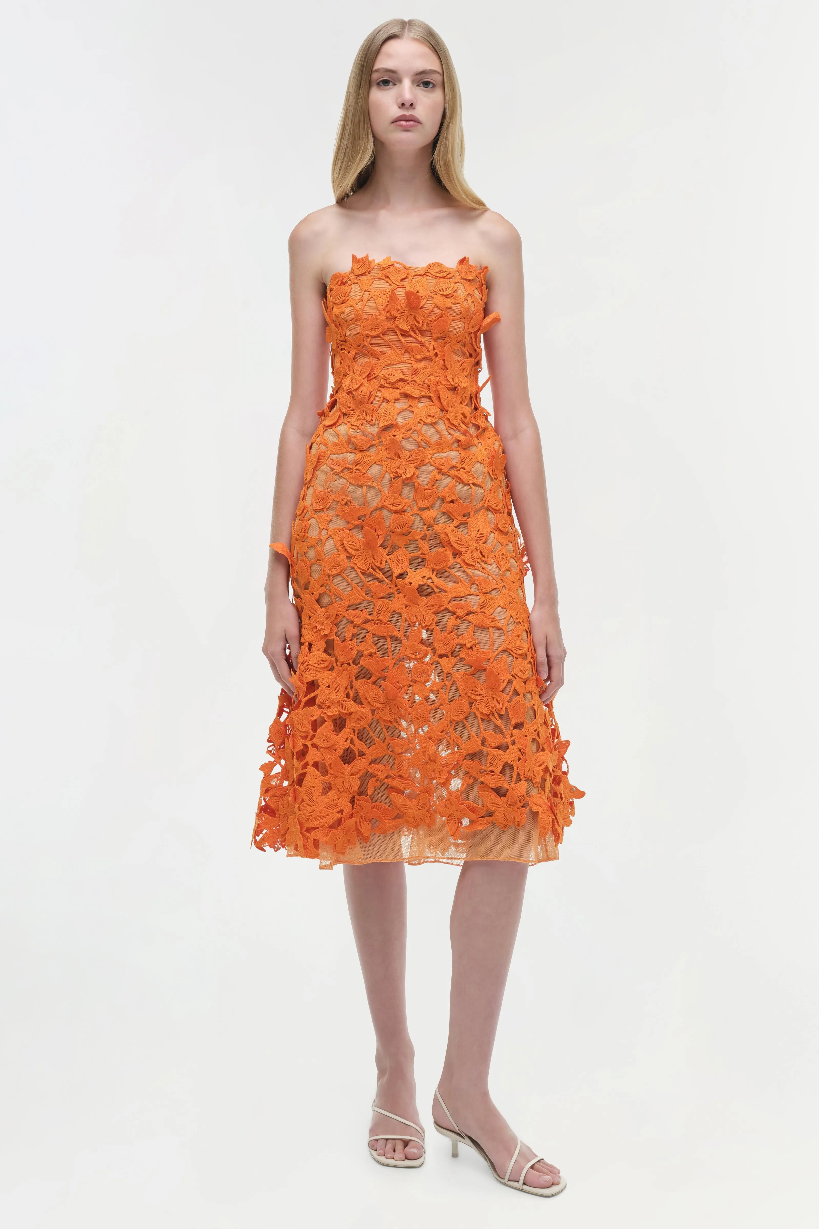 Fleurella Applique Midi Dress sold by Simkhai product image thumbnail 2