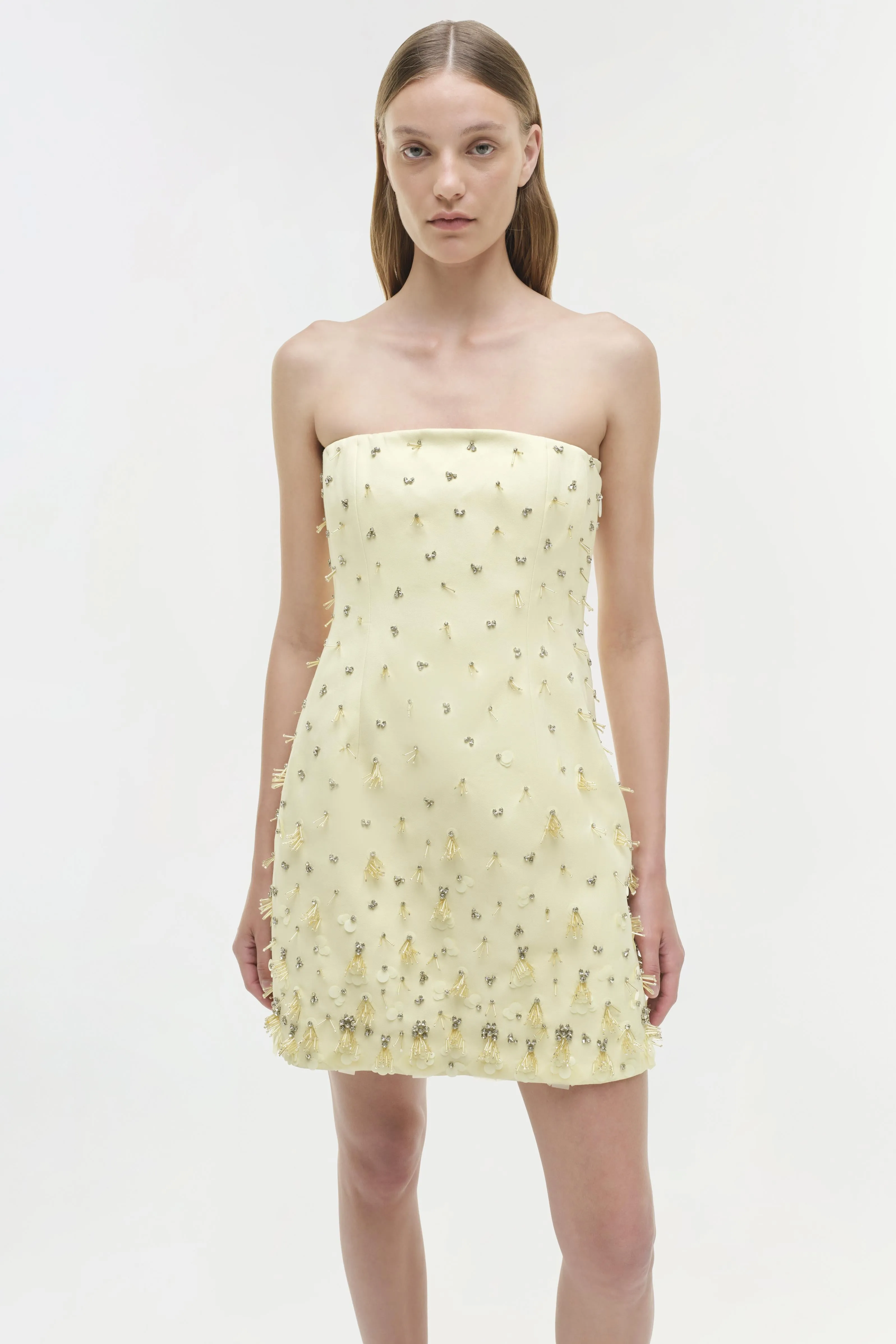 Yasmin Embellished Strapless Mini Dress sold by Simkhai product image thumbnail 3