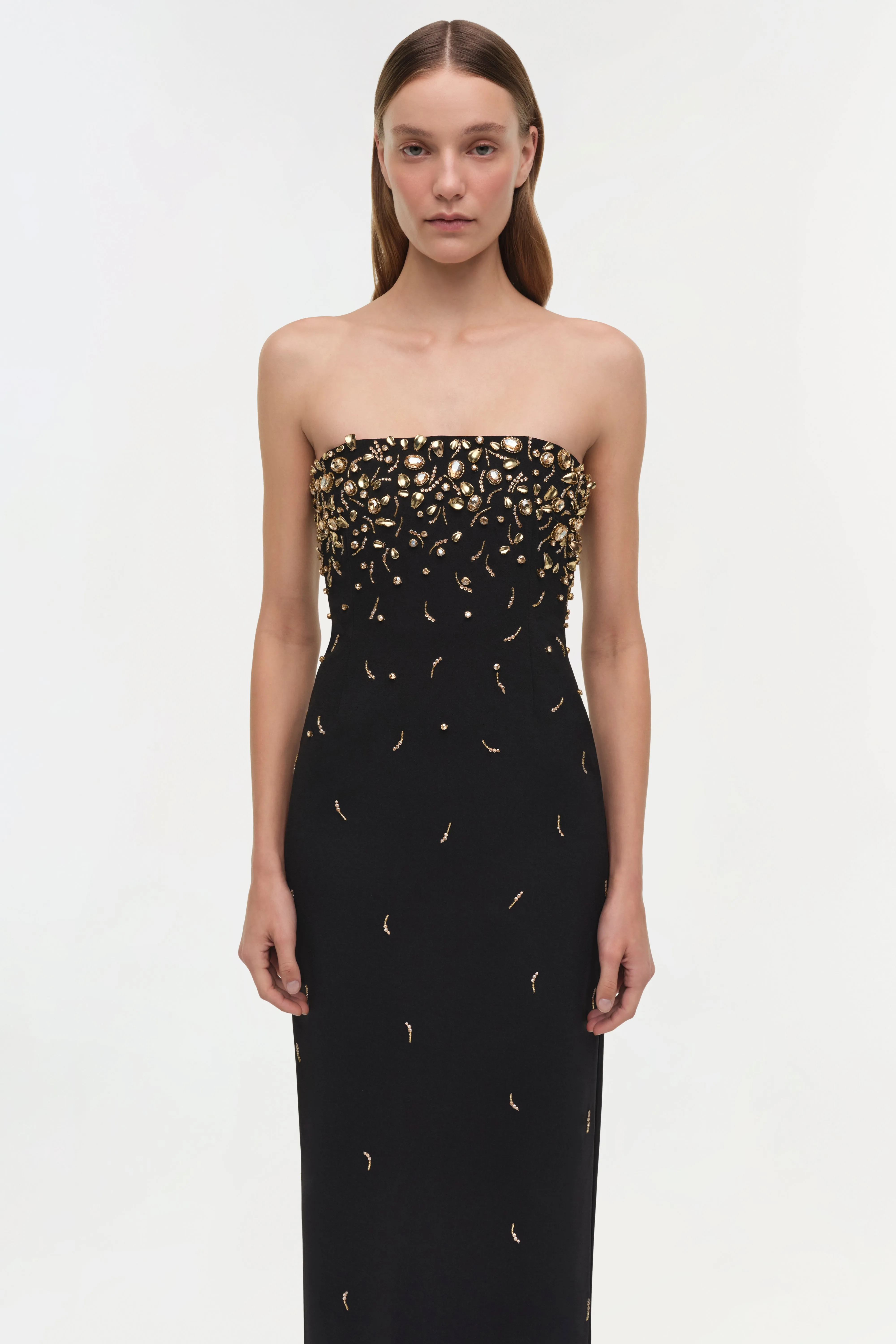 Reign Embellished Strapless Gown sold by Simkhai product image thumbnail 3