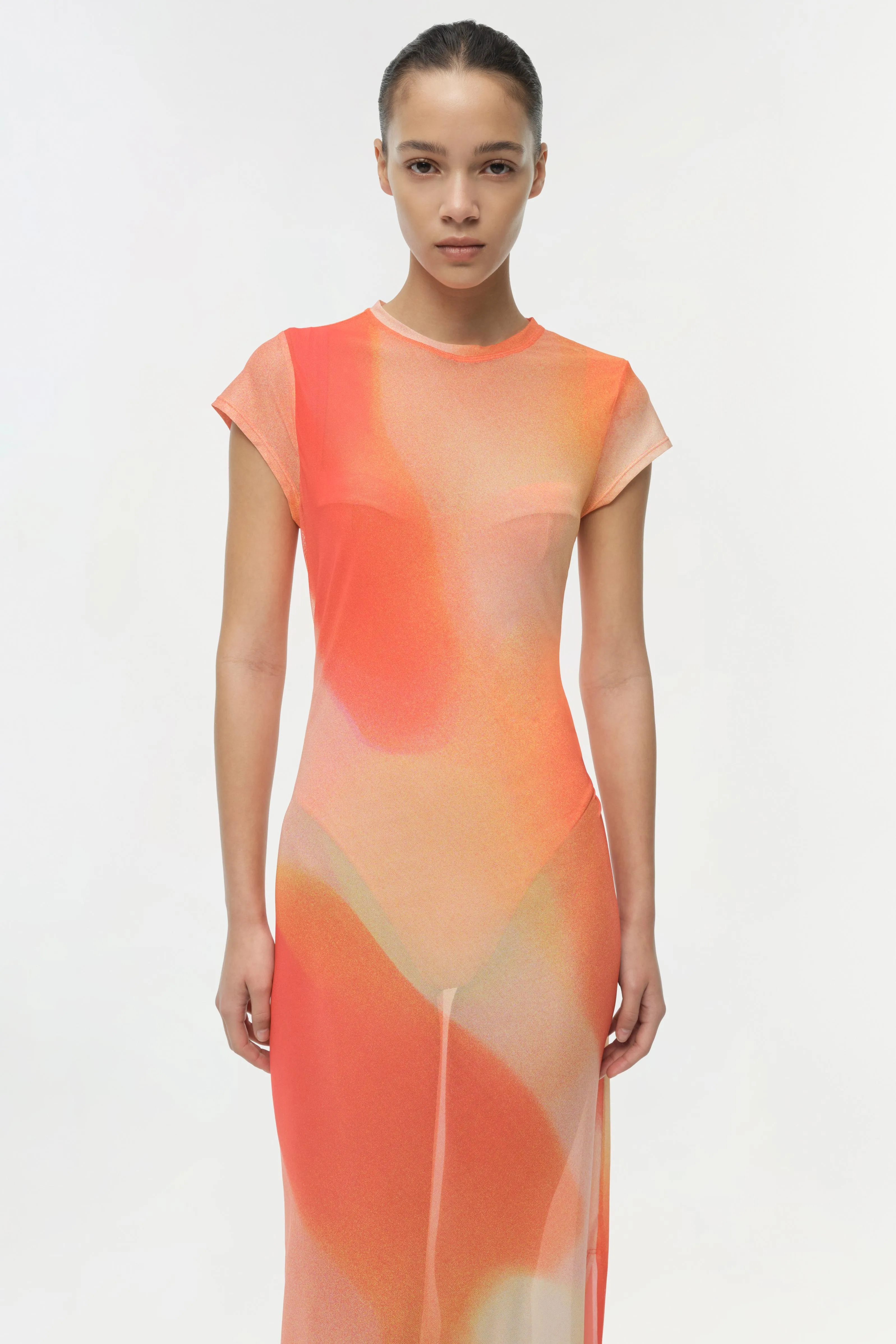 Fia Mesh Midi Dress sold by Simkhai product image thumbnail 3