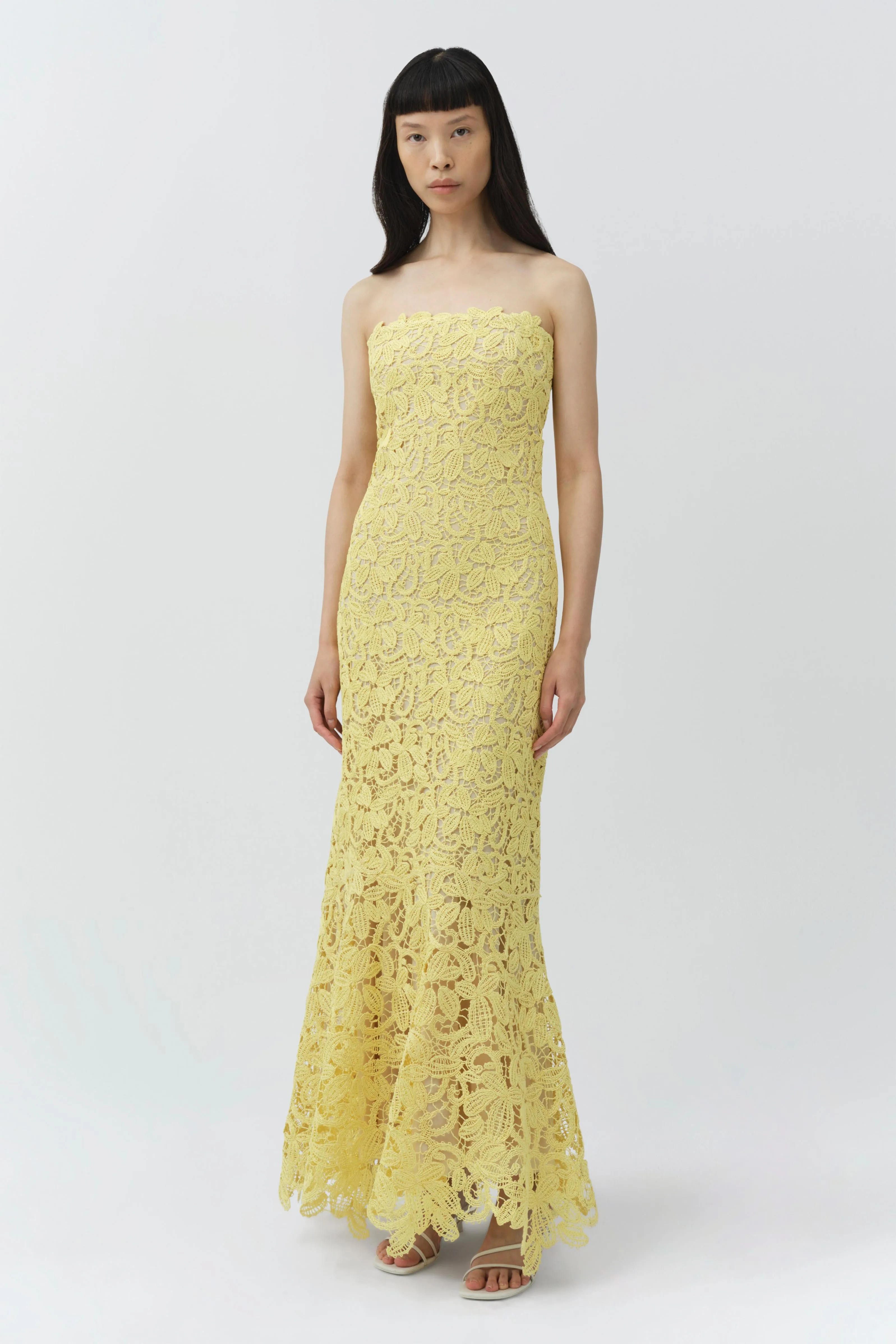 Sera Floral Raffia Bustier Midi Dress sold by Simkhai product image thumbnail 4