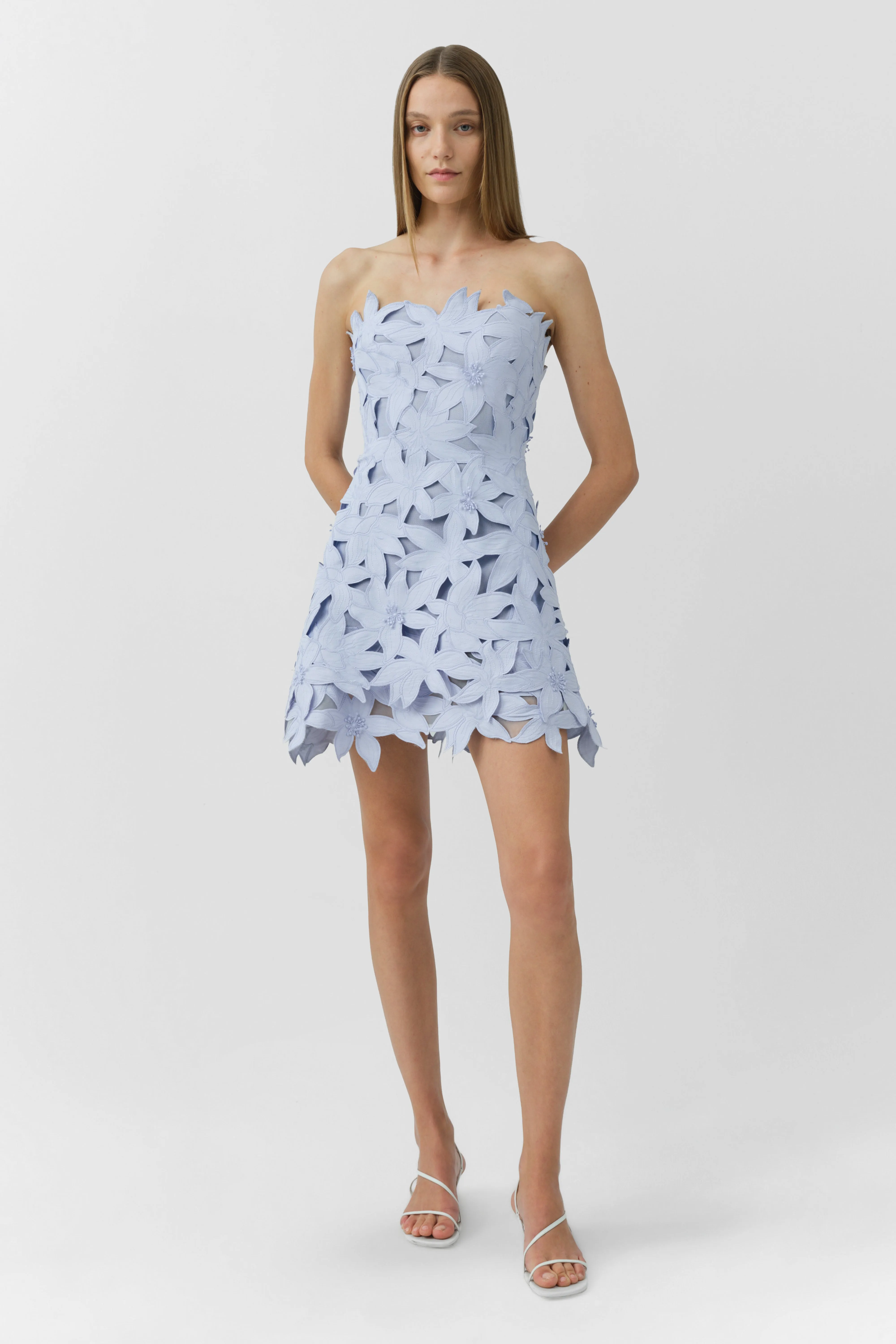 Miri Embroidered Cotton Bustier Mini Dress sold by Simkhai product image thumbnail 3