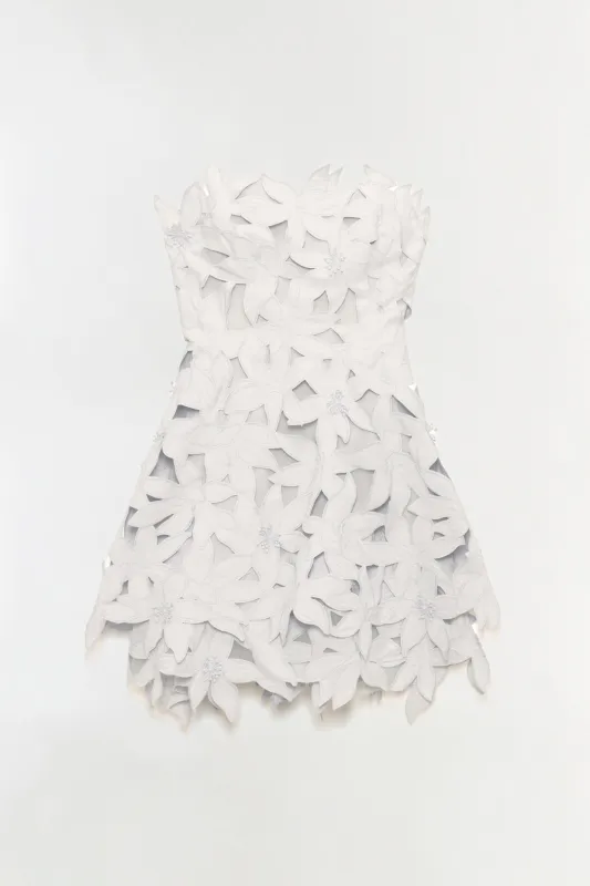 Miri Embroidered Cotton Bustier Mini Dress made by Simkhai