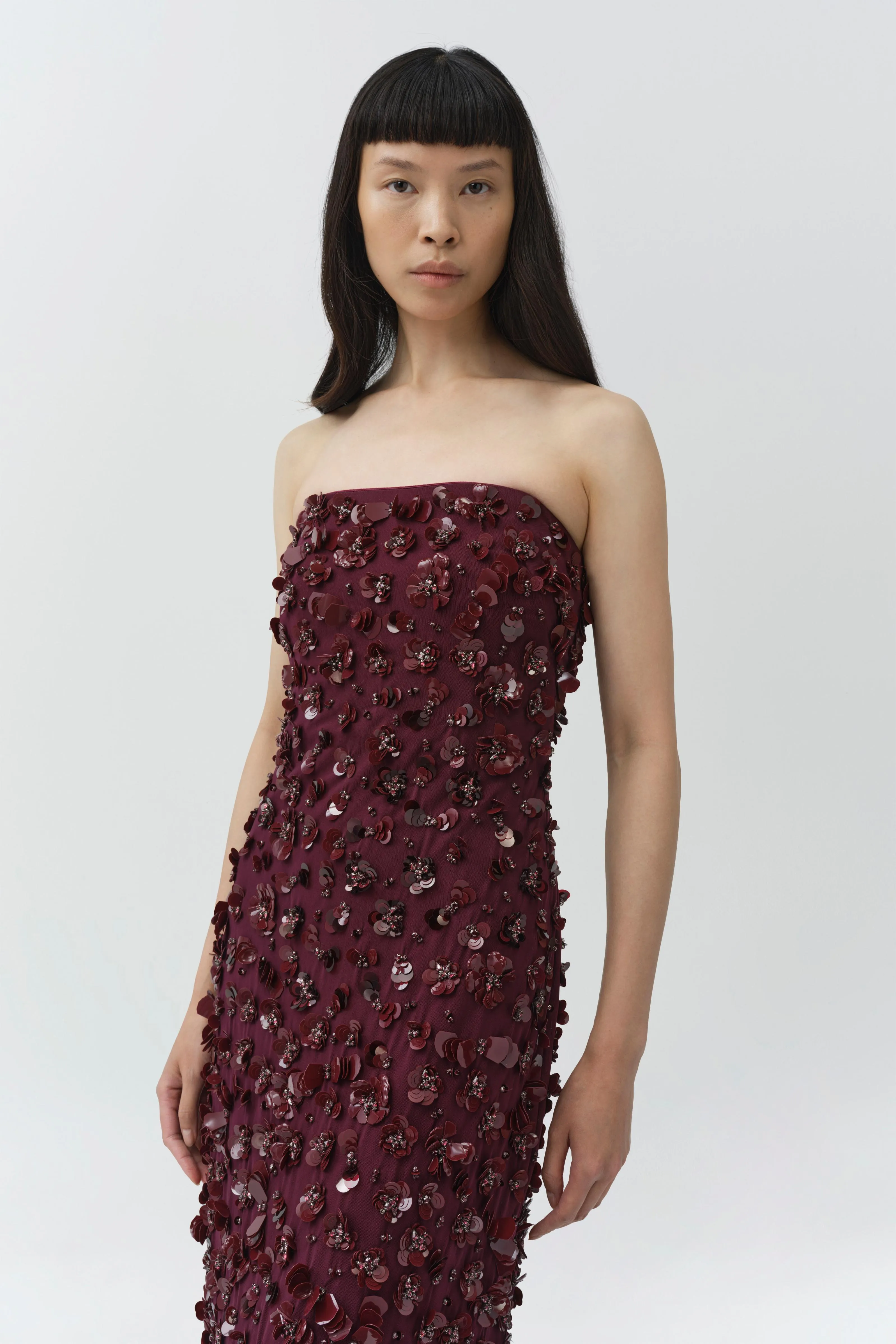 Serafina Strapless Embellished Gown sold by Simkhai product image thumbnail 3